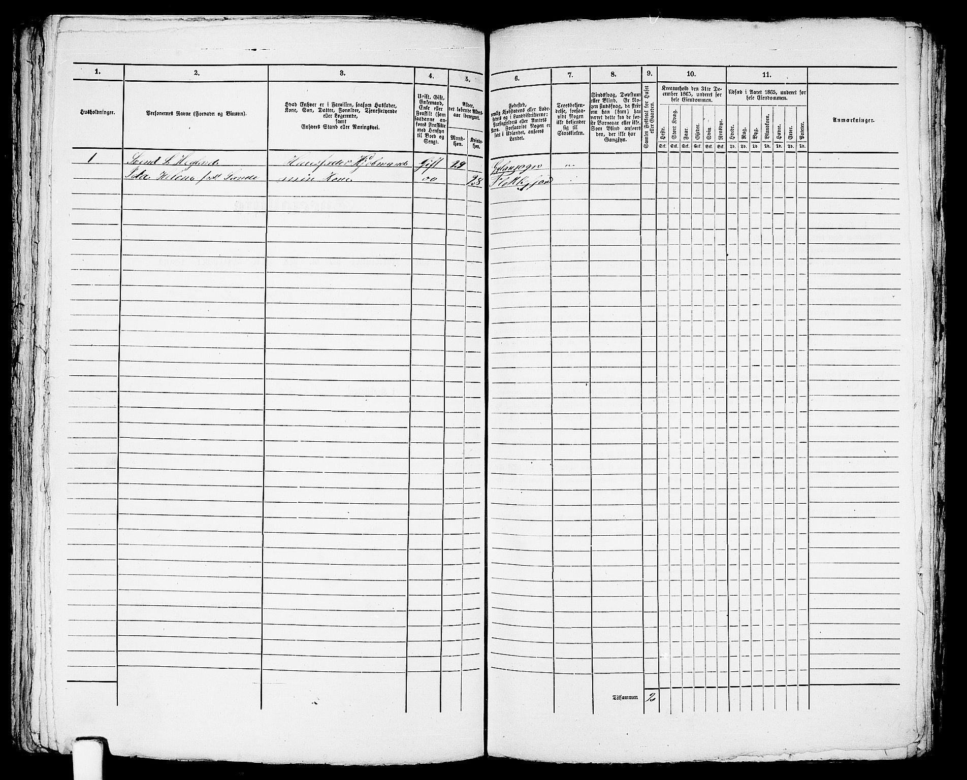 RA, Folketelling 1865 for 1004B Flekkefjord prestegjeld, Flekkefjord kjøpstad, 1865, s. 250