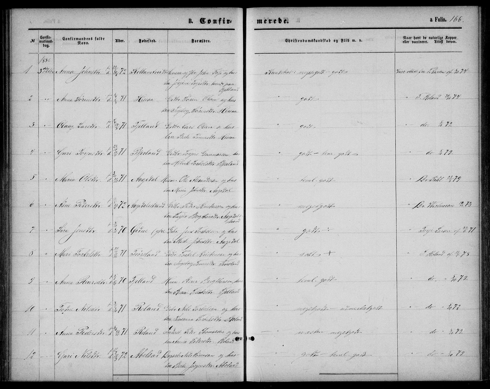 Bjelland sokneprestkontor, AV/SAK-1111-0005/F/Fb/Fba/L0004: Klokkerbok nr. B 4, 1869-1886, s. 166