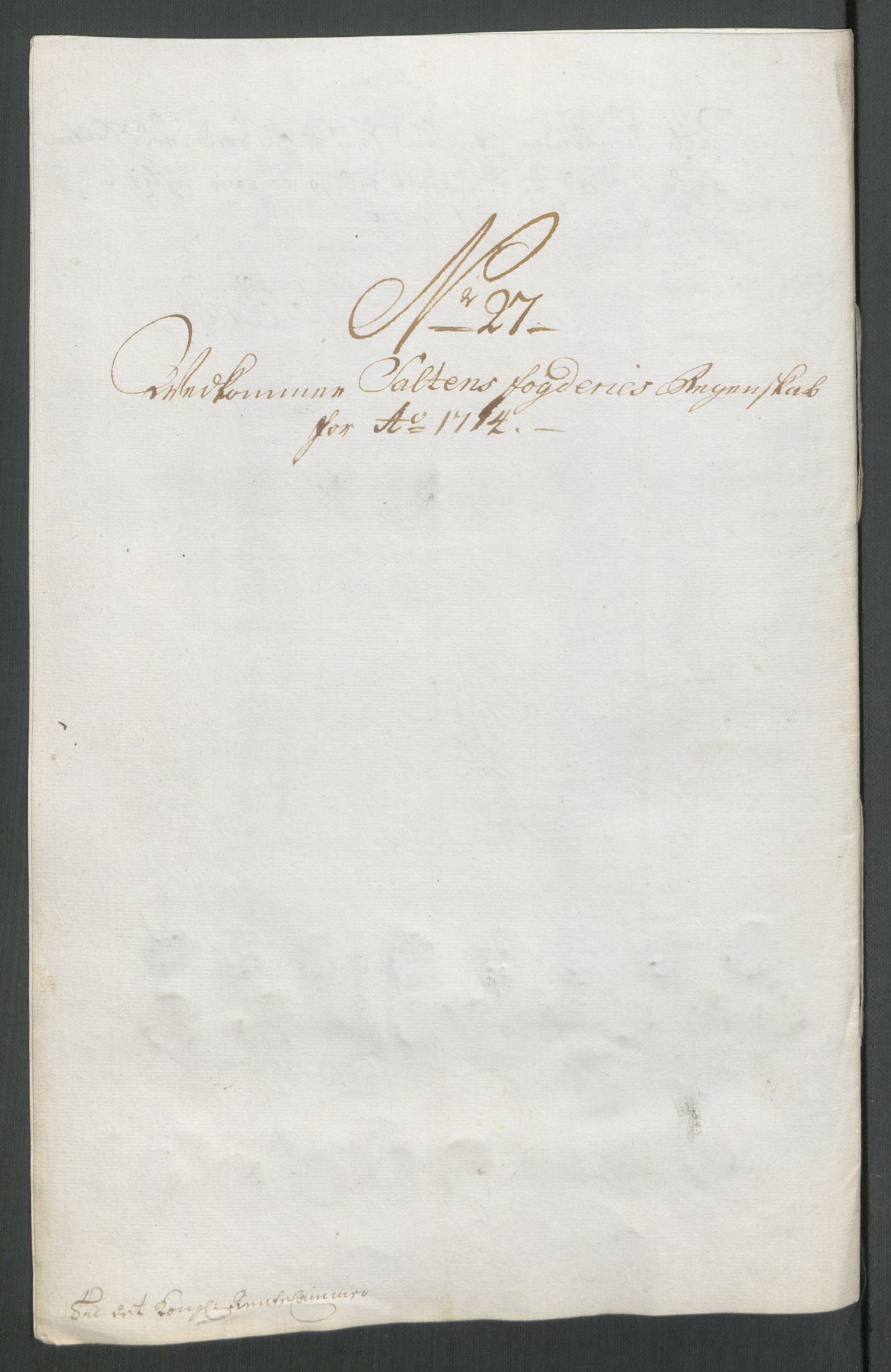 Rentekammeret inntil 1814, Reviderte regnskaper, Fogderegnskap, RA/EA-4092/R66/L4584: Fogderegnskap Salten, 1714, s. 244