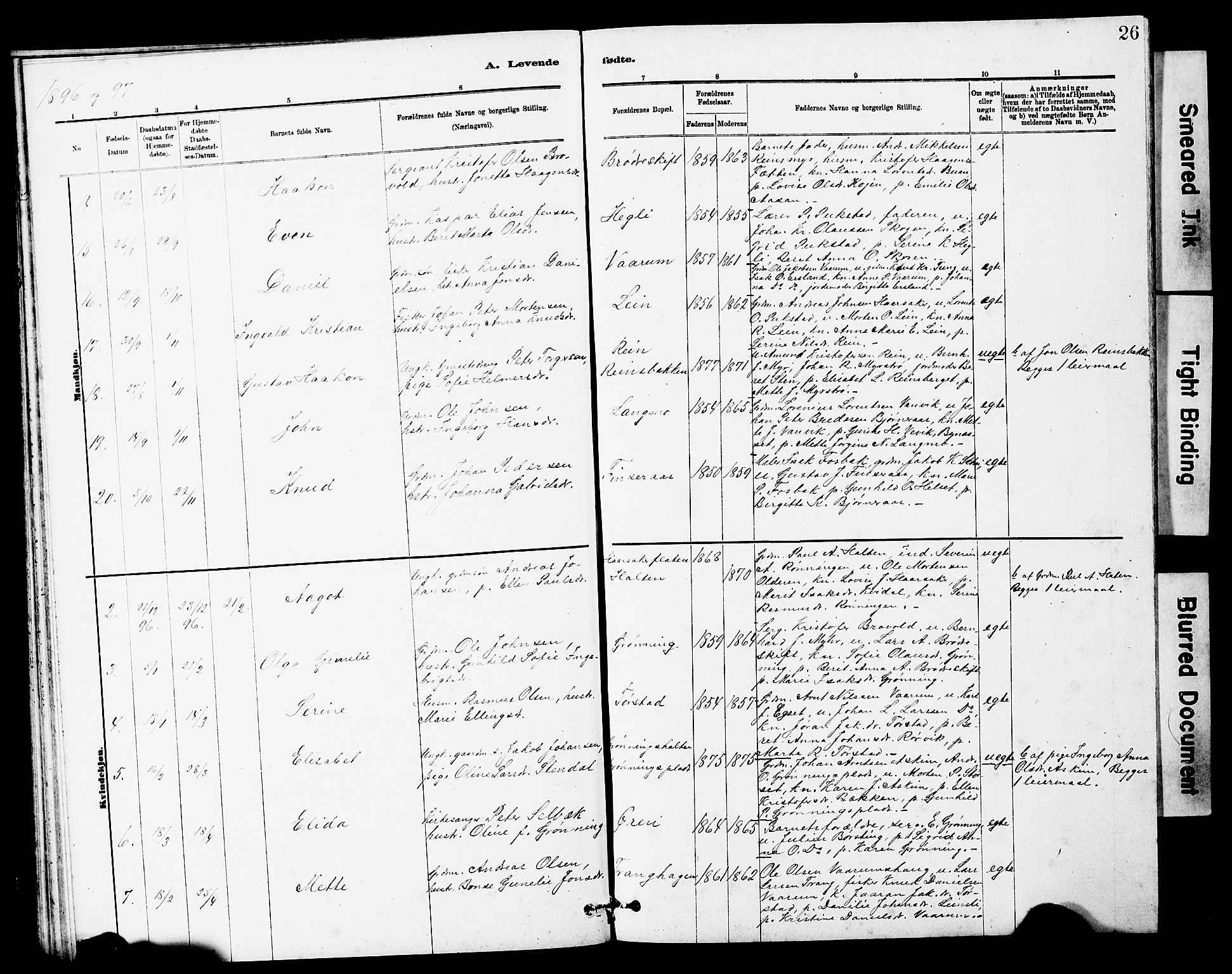 Ministerialprotokoller, klokkerbøker og fødselsregistre - Sør-Trøndelag, AV/SAT-A-1456/646/L0628: Klokkerbok nr. 646C01, 1880-1903, s. 26