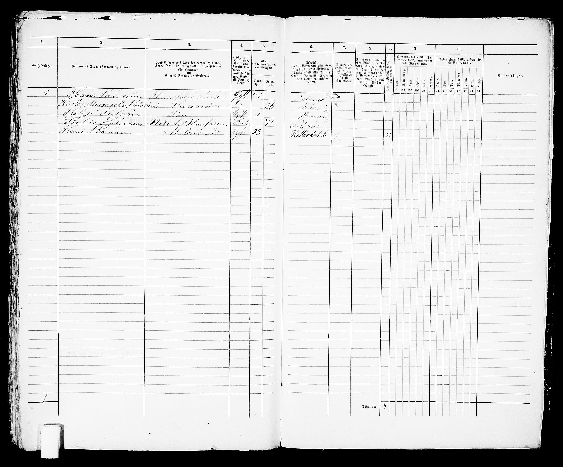 RA, Folketelling 1865 for 0804P Brevik prestegjeld, 1865, s. 696