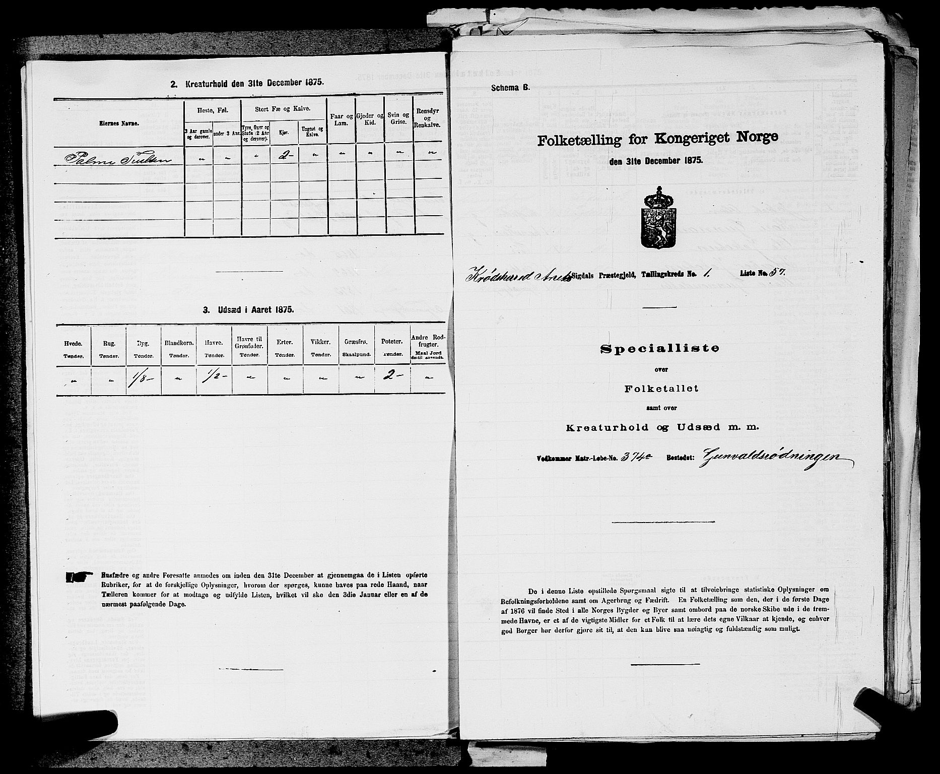 SAKO, Folketelling 1875 for 0621P Sigdal prestegjeld, 1875, s. 1164