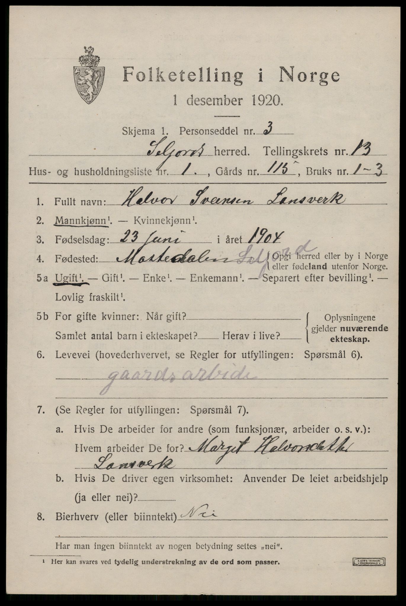 SAKO, Folketelling 1920 for 0828 Seljord herred, 1920, s. 6004