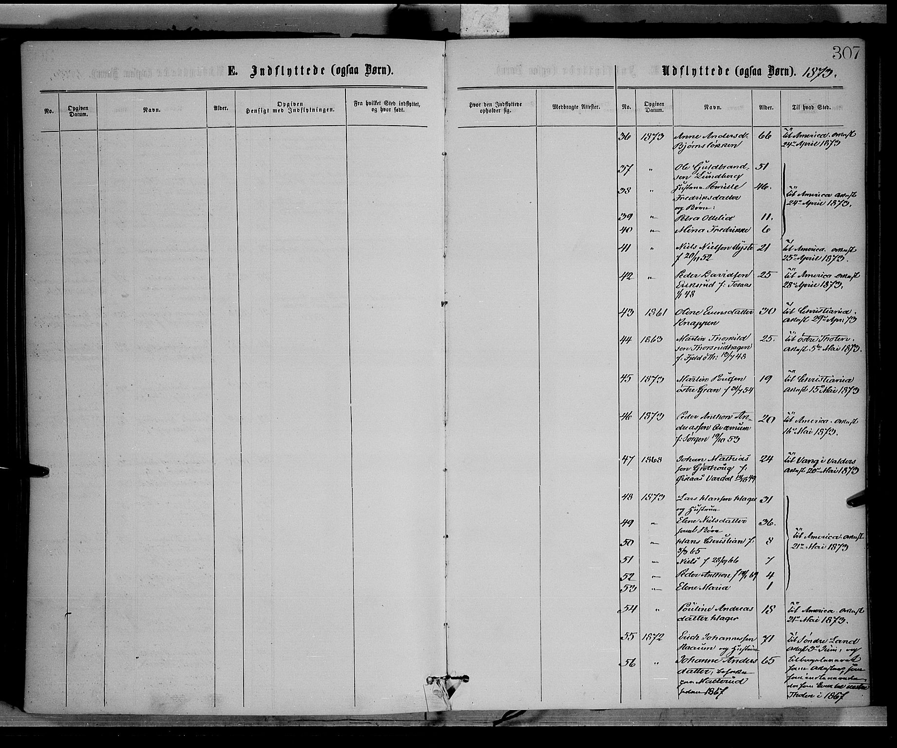 Vestre Toten prestekontor, SAH/PREST-108/H/Ha/Haa/L0008: Ministerialbok nr. 8, 1870-1877, s. 307