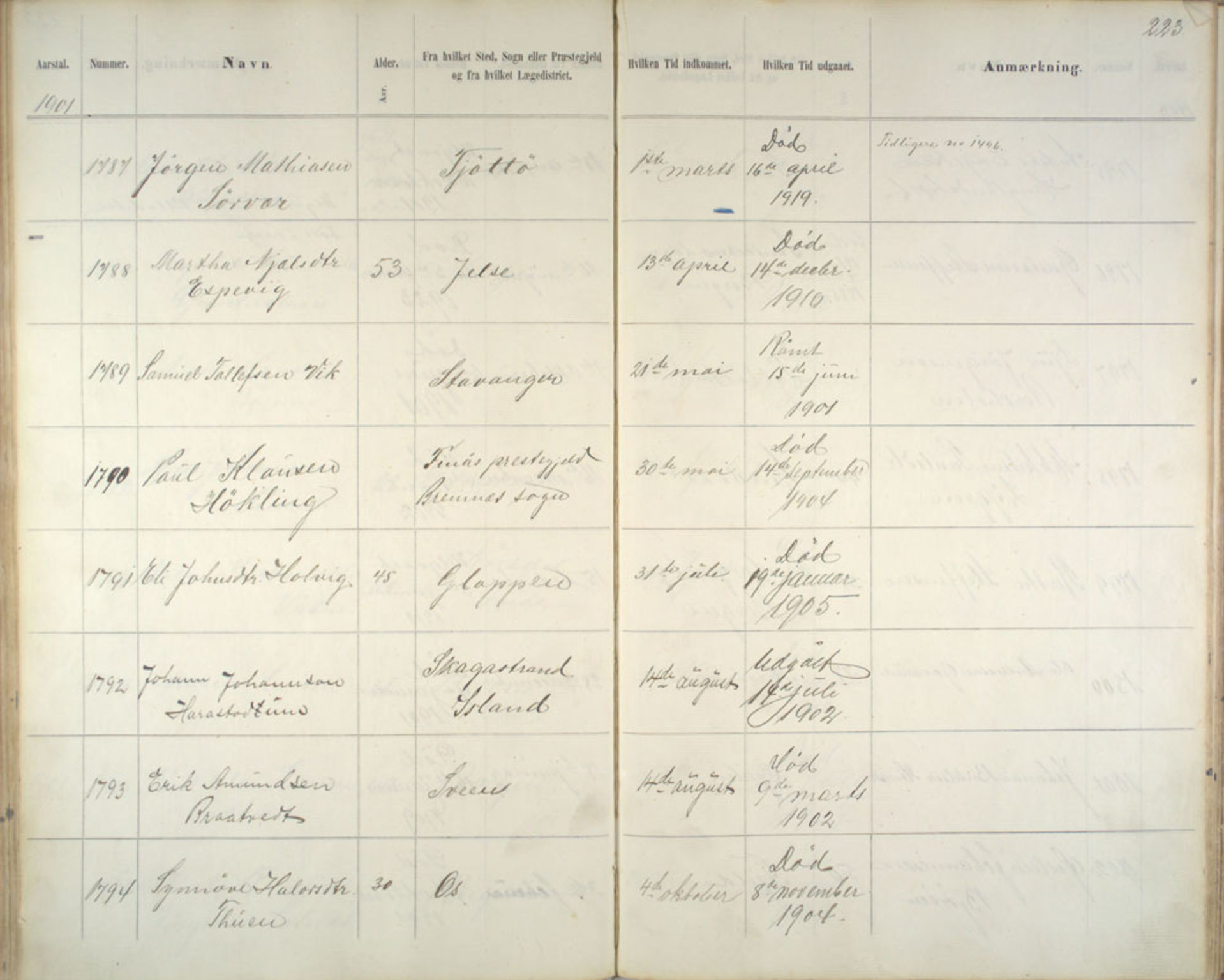 Lepraarkiver - Pleiestiftelsen for spedalske no.1, AV/SAB-A-60601/C/L0005: Av- og tilgangsliste, 1857-1955, s. 223