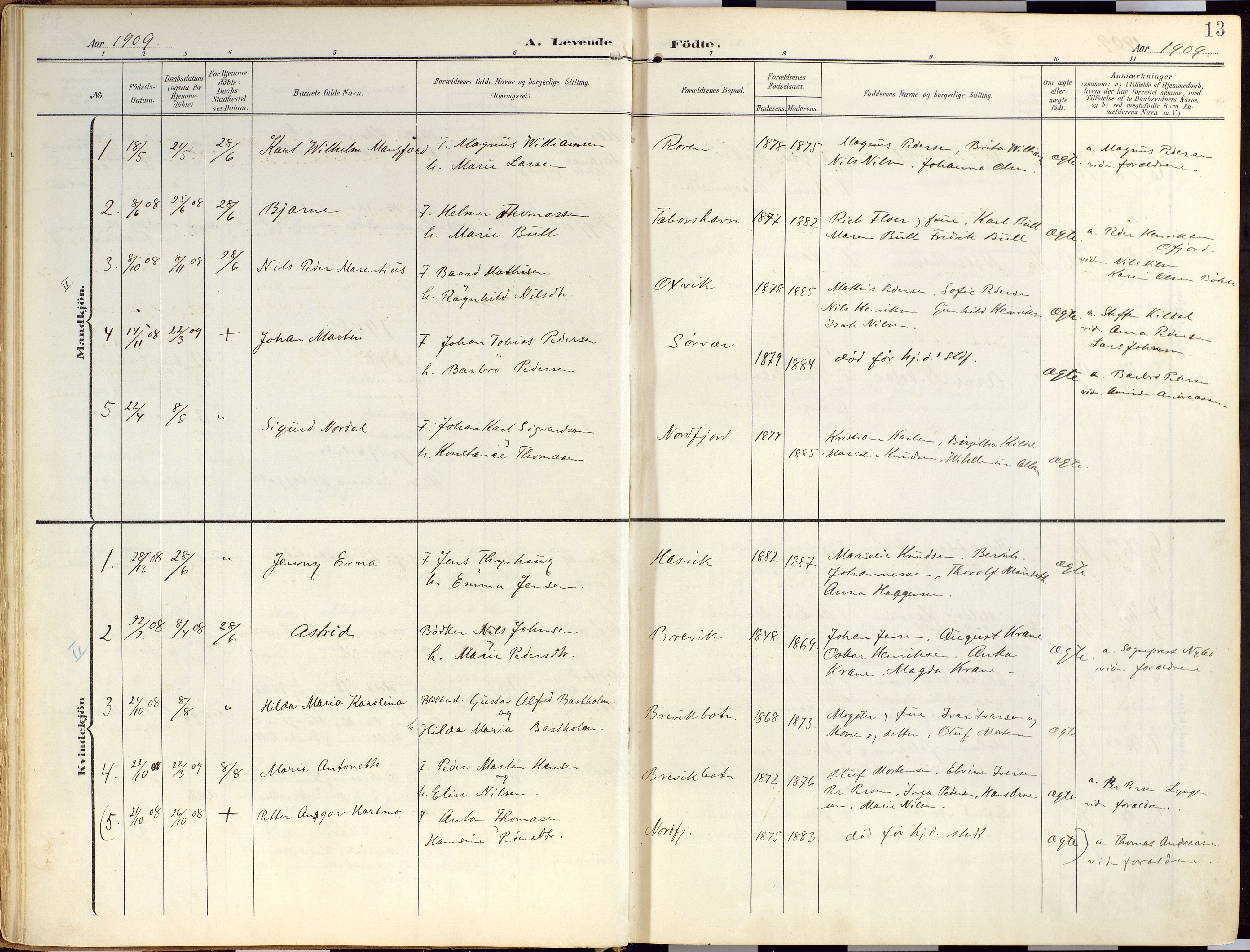 Loppa sokneprestkontor, AV/SATØ-S-1339/H/Ha/L0010kirke: Ministerialbok nr. 10, 1907-1922, s. 13