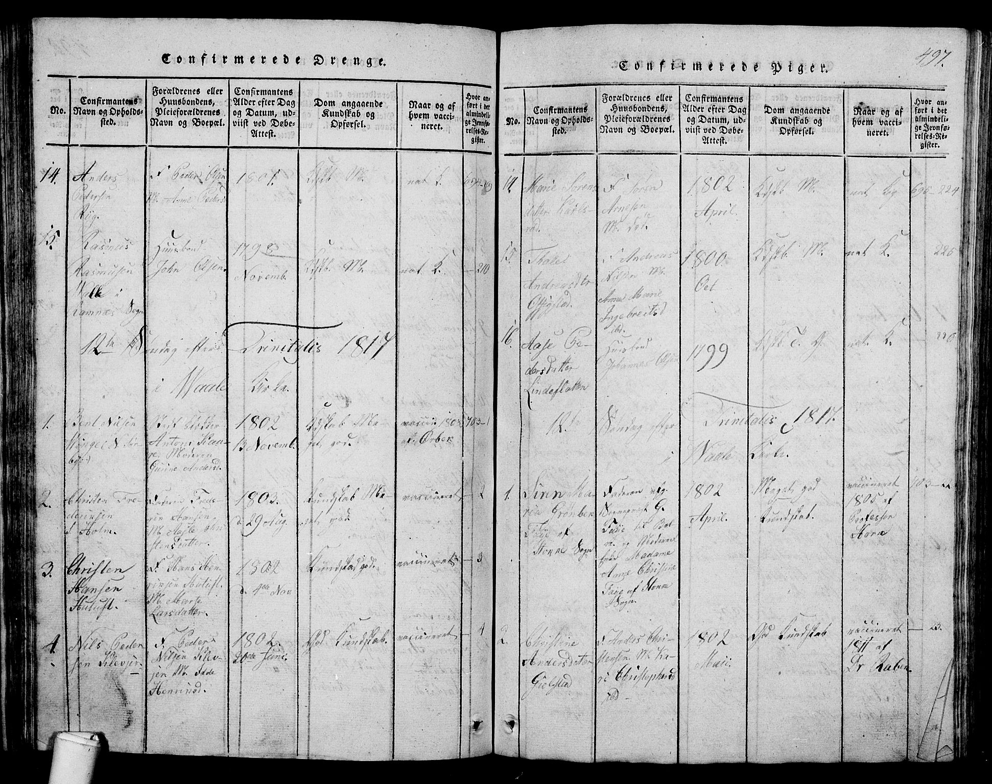Våle kirkebøker, AV/SAKO-A-334/G/Ga/L0001: Klokkerbok nr. I 1, 1814-1824, s. 496-497