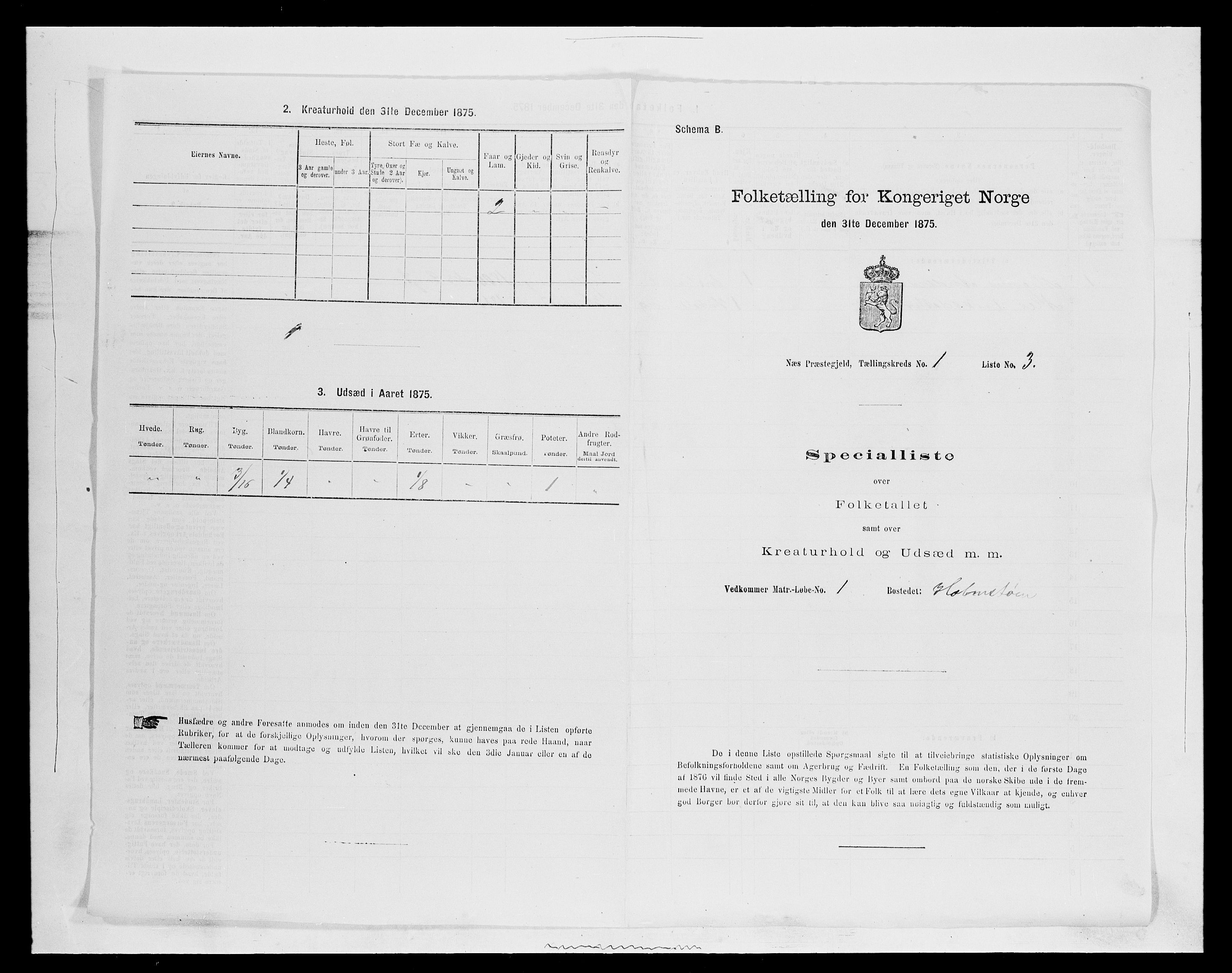 SAH, Folketelling 1875 for 0411P Nes prestegjeld, 1875, s. 84