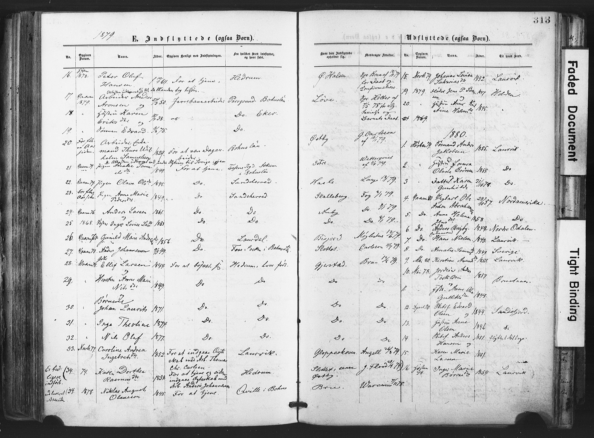 Tjølling kirkebøker, AV/SAKO-A-60/F/Fa/L0008: Ministerialbok nr. 8, 1877-1886, s. 313