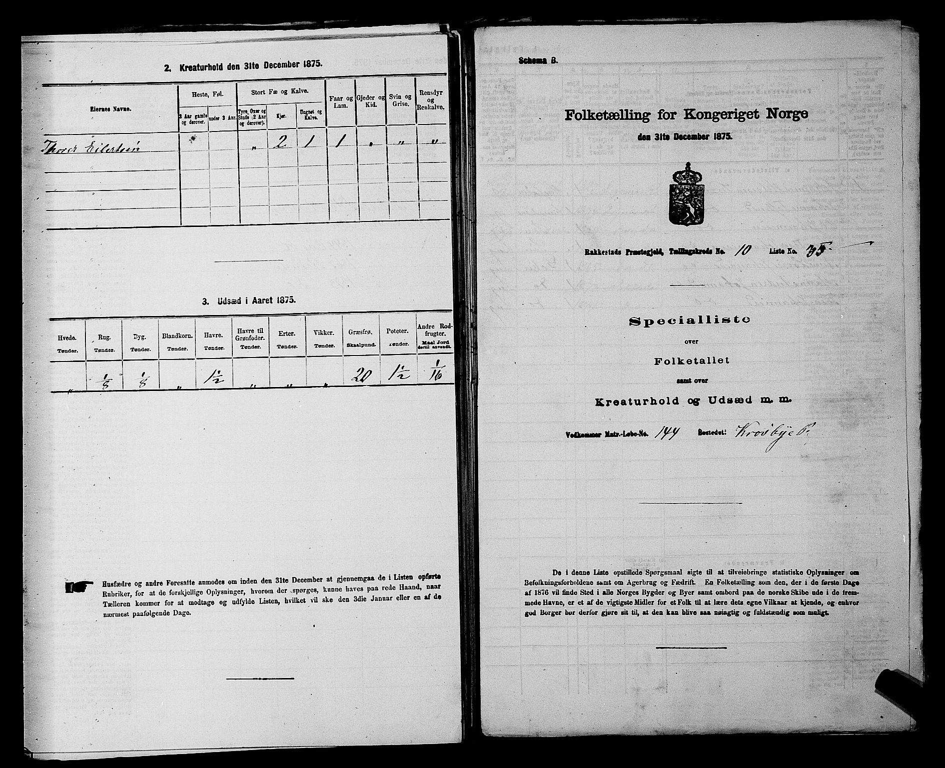 RA, Folketelling 1875 for 0128P Rakkestad prestegjeld, 1875, s. 1240