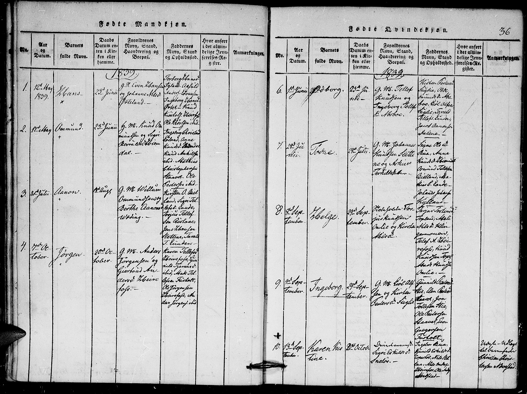 Herefoss sokneprestkontor, AV/SAK-1111-0019/F/Fa/Faa/L0001: Ministerialbok nr. A 1, 1816-1860, s. 36