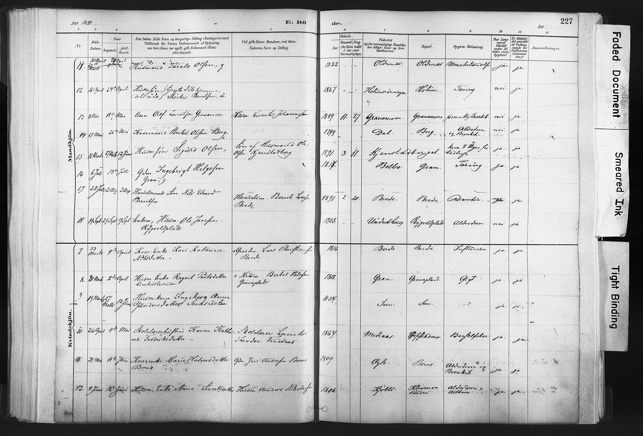 Ministerialprotokoller, klokkerbøker og fødselsregistre - Nord-Trøndelag, SAT/A-1458/749/L0474: Ministerialbok nr. 749A08, 1887-1903, s. 227