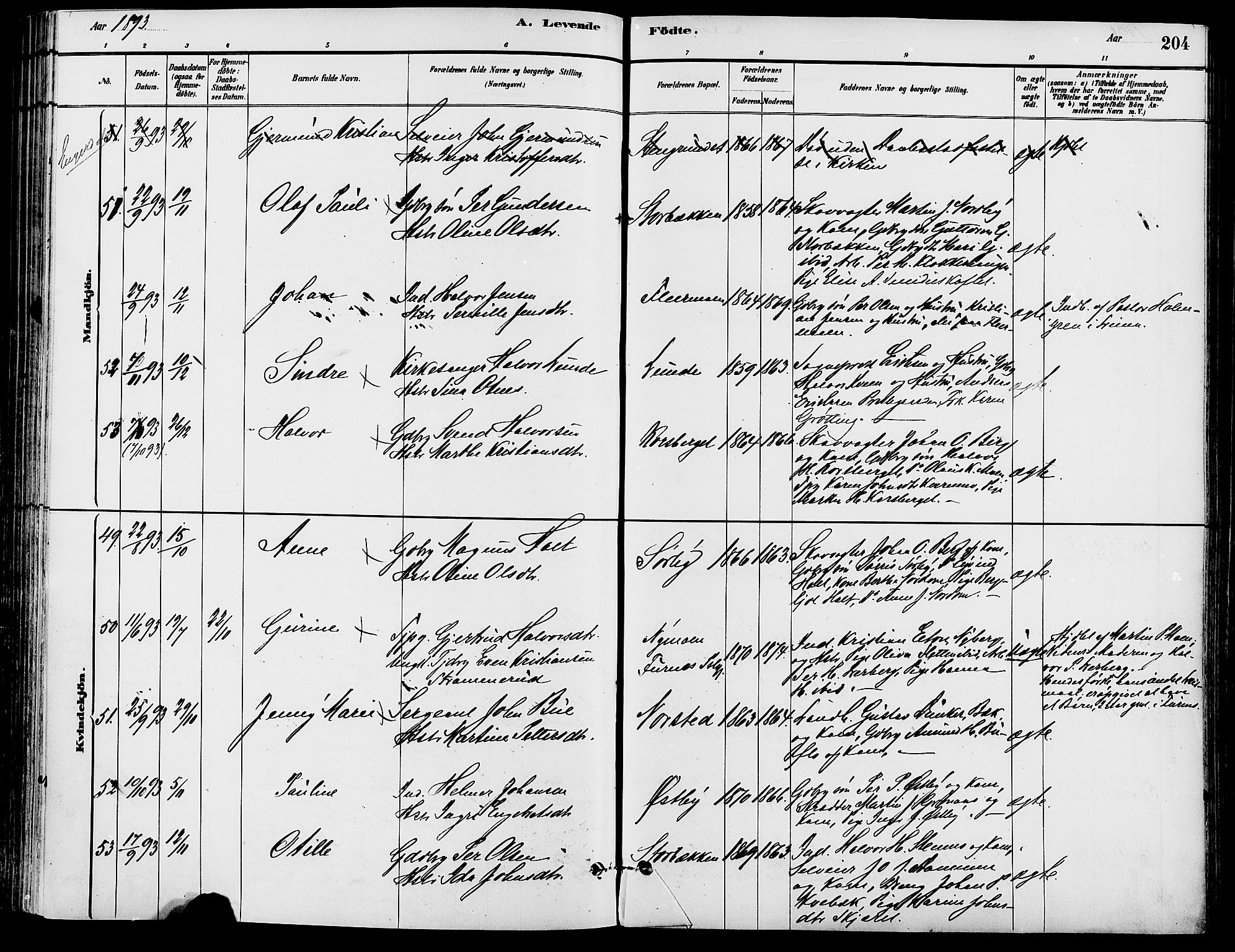 Trysil prestekontor, AV/SAH-PREST-046/H/Ha/Haa/L0008: Ministerialbok nr. 8, 1881-1897, s. 204