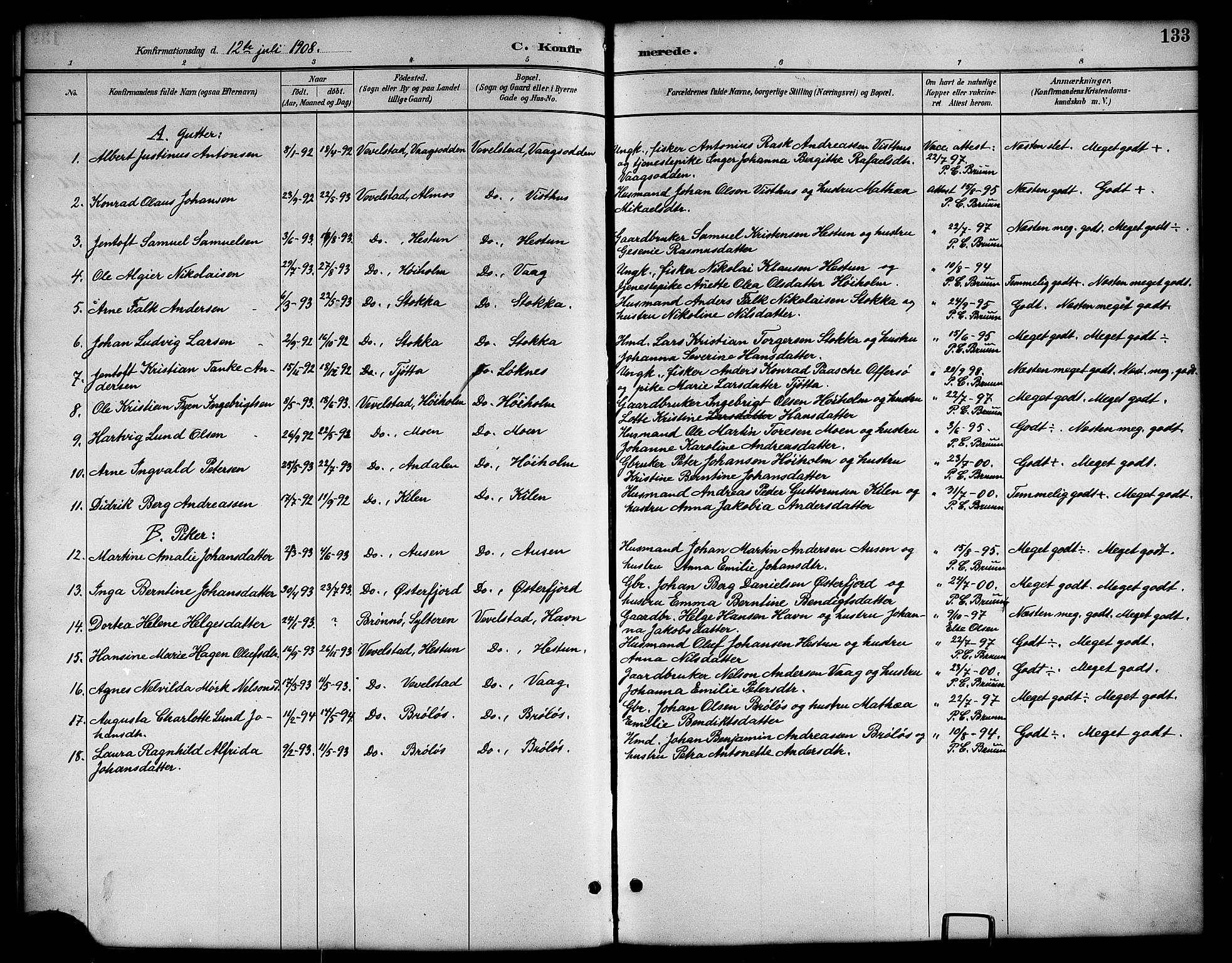 Ministerialprotokoller, klokkerbøker og fødselsregistre - Nordland, SAT/A-1459/819/L0277: Klokkerbok nr. 819C03, 1888-1917, s. 133