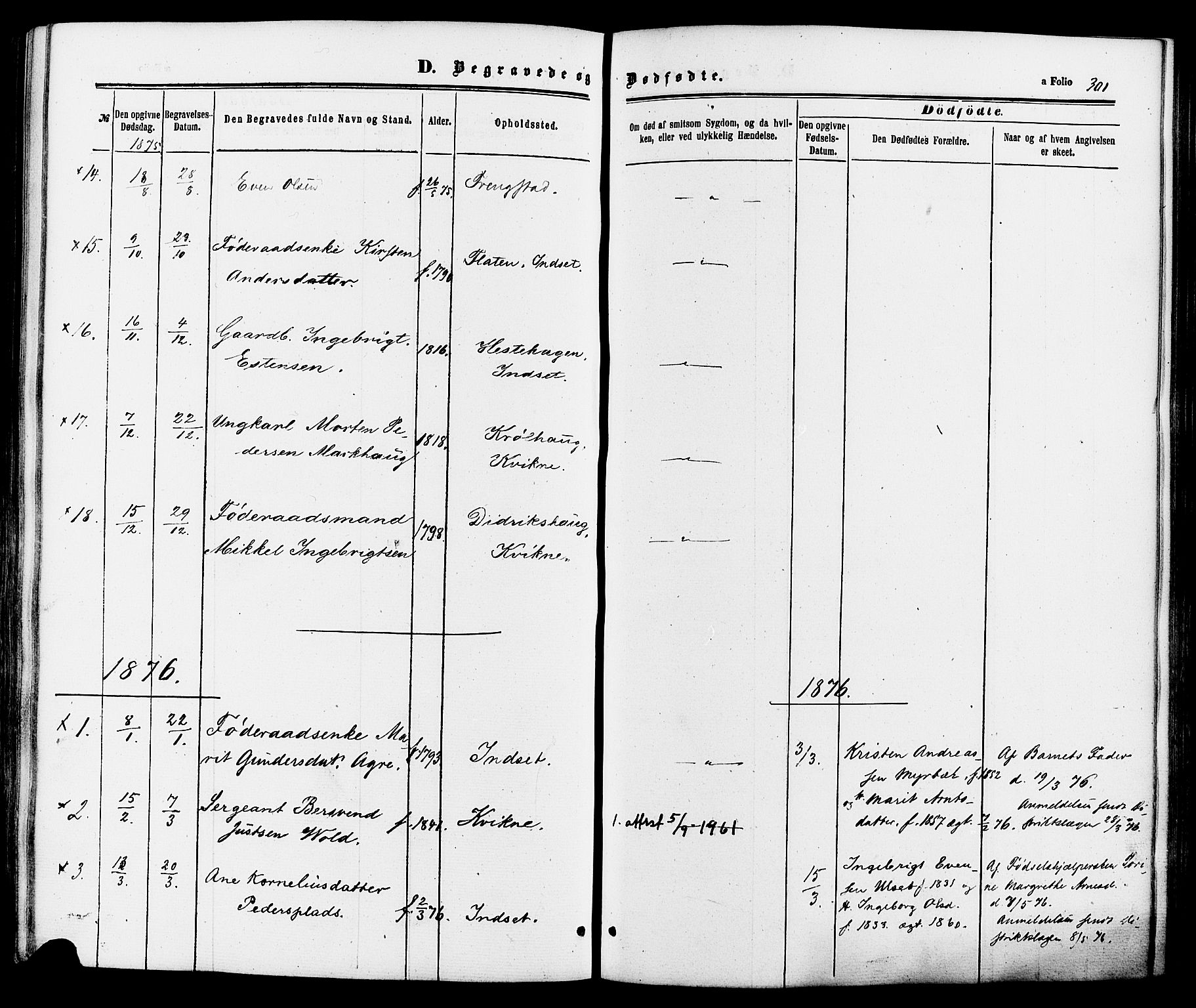 Kvikne prestekontor, SAH/PREST-064/H/Ha/Haa/L0006: Ministerialbok nr. 6, 1863-1886, s. 301