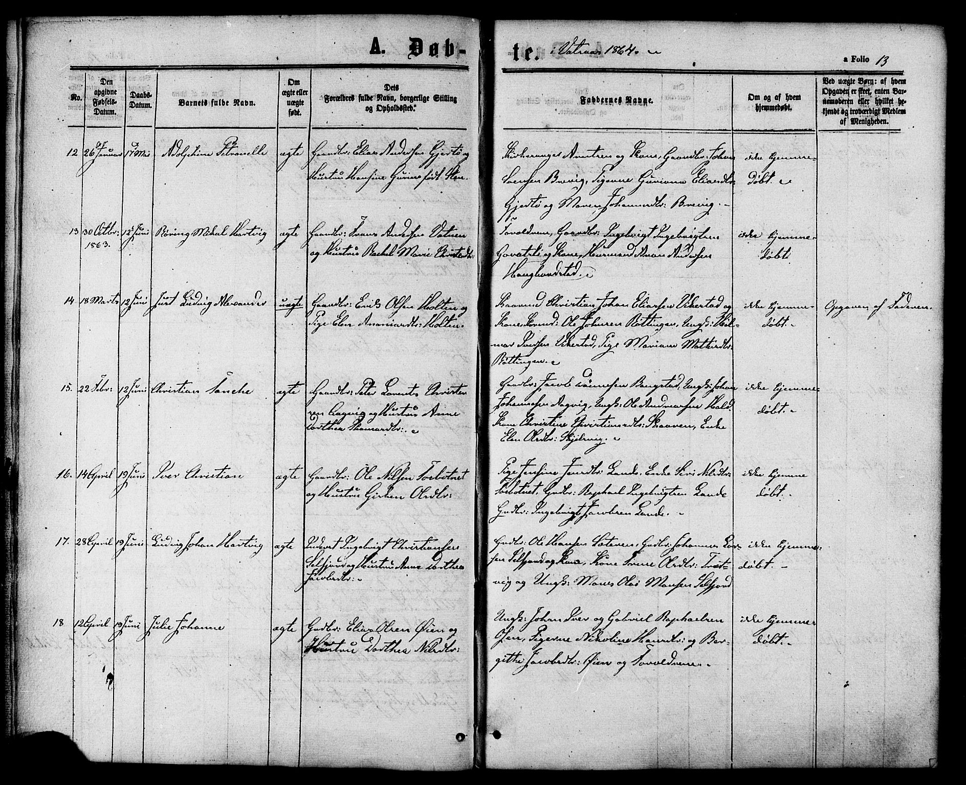 Ministerialprotokoller, klokkerbøker og fødselsregistre - Nordland, SAT/A-1459/810/L0146: Ministerialbok nr. 810A08 /1, 1862-1874, s. 13