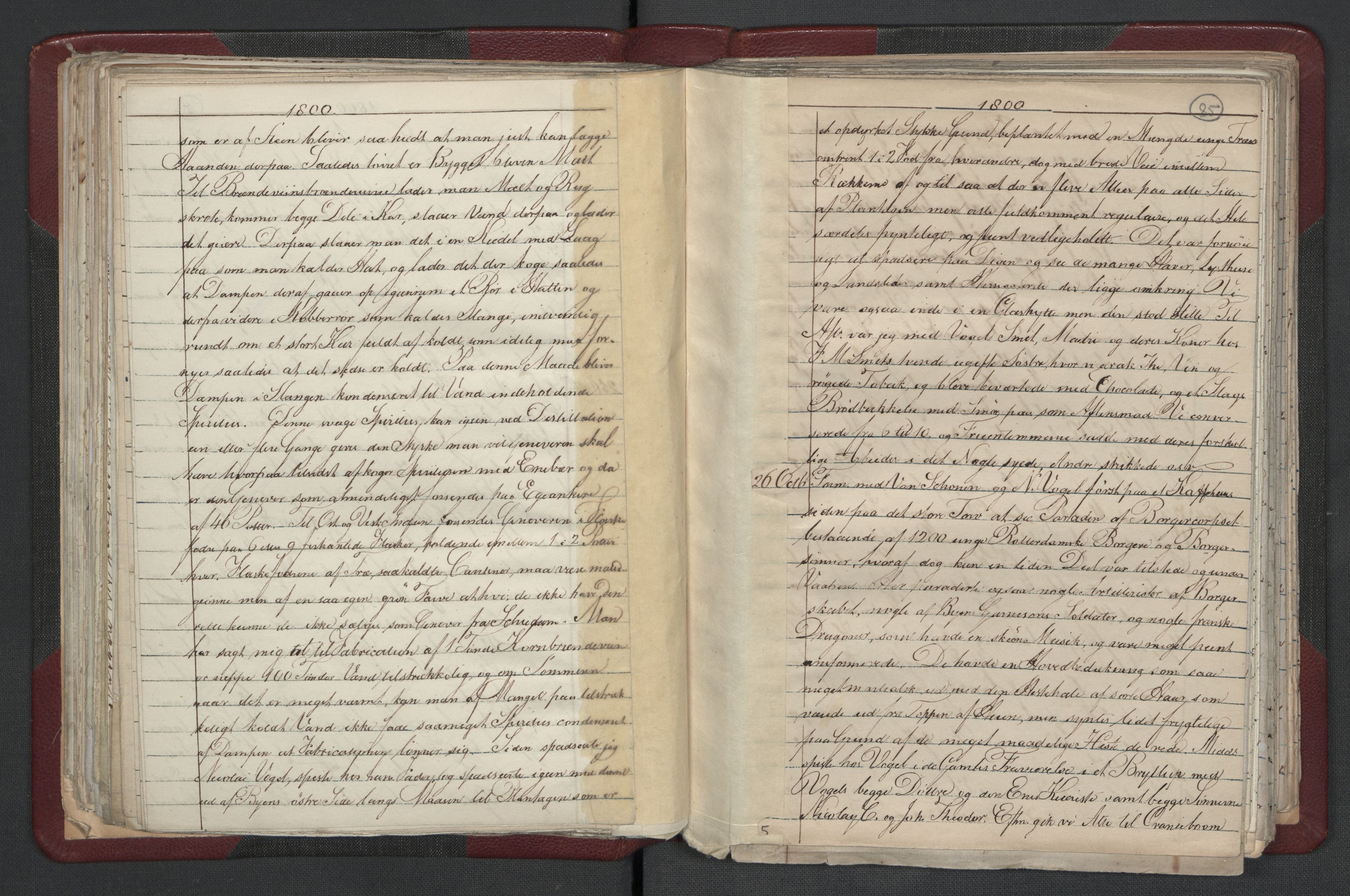 Meltzer, Fredrik, AV/RA-PA-0028/F/L0001: Dagbok for årene 1796-1808, 1811, 1817, 1796-1817, s. 84b-85a