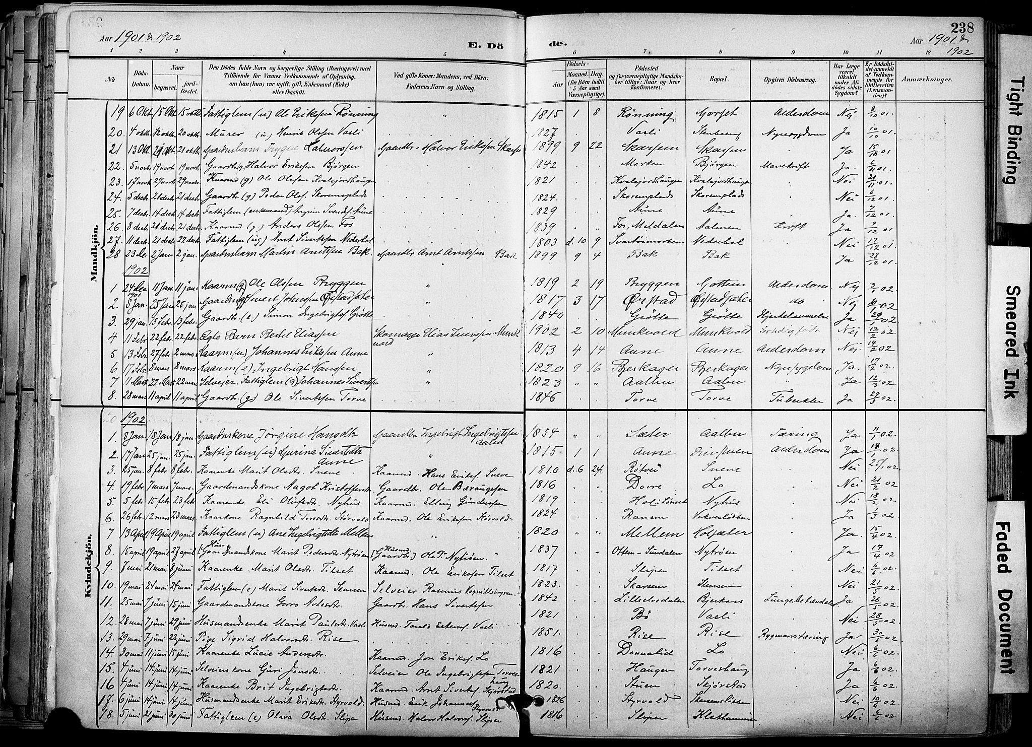 Ministerialprotokoller, klokkerbøker og fødselsregistre - Sør-Trøndelag, SAT/A-1456/678/L0902: Ministerialbok nr. 678A11, 1895-1911, s. 238