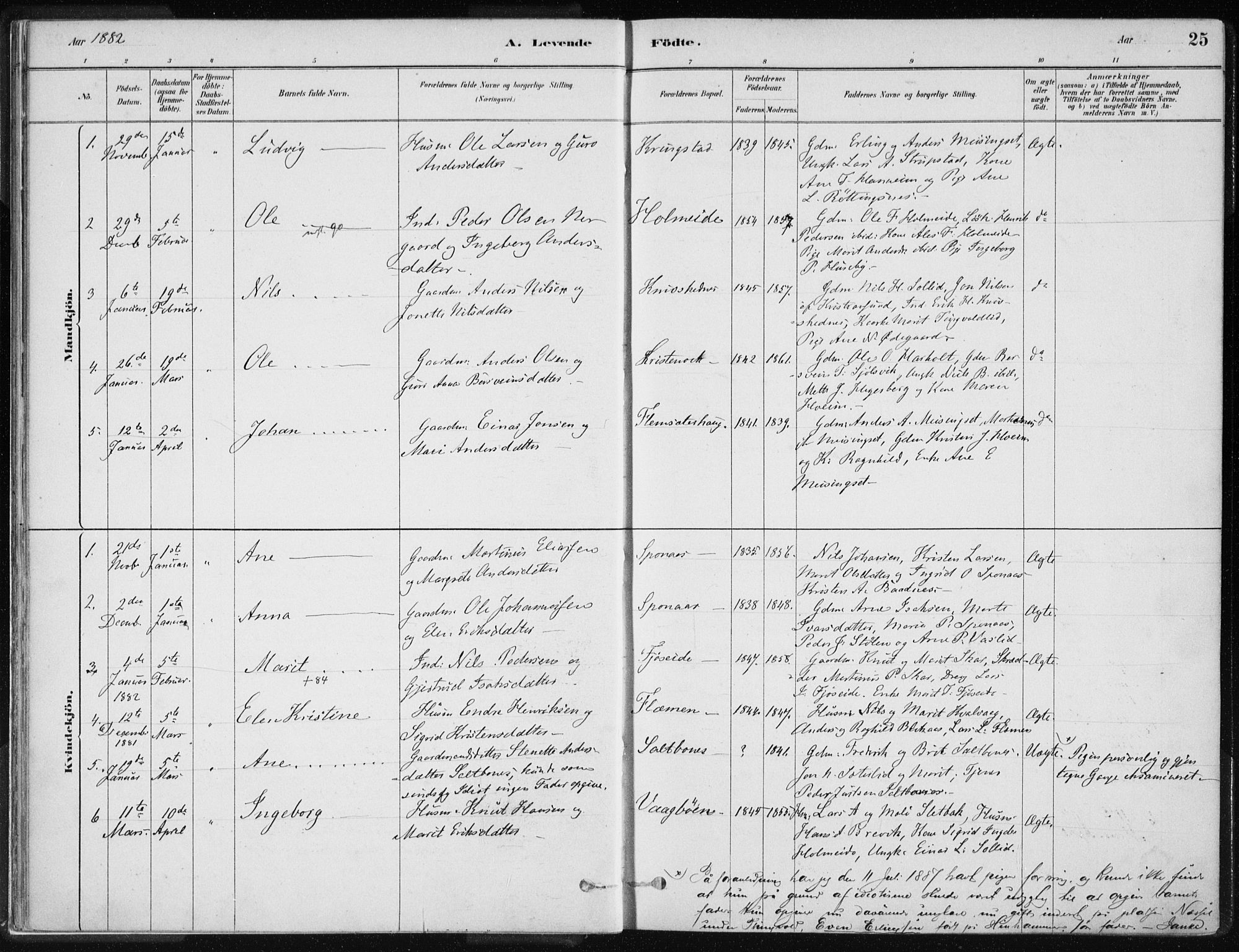 Ministerialprotokoller, klokkerbøker og fødselsregistre - Møre og Romsdal, SAT/A-1454/586/L0987: Ministerialbok nr. 586A13, 1879-1892, s. 25