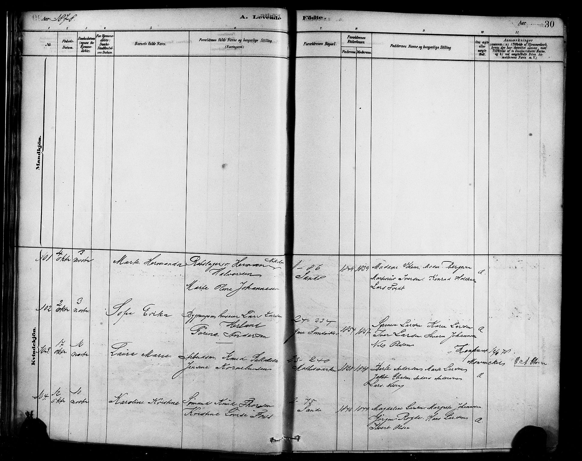 Sandviken Sokneprestembete, AV/SAB-A-77601/H/Ha/L0004: Ministerialbok nr. B 1, 1878-1891, s. 30