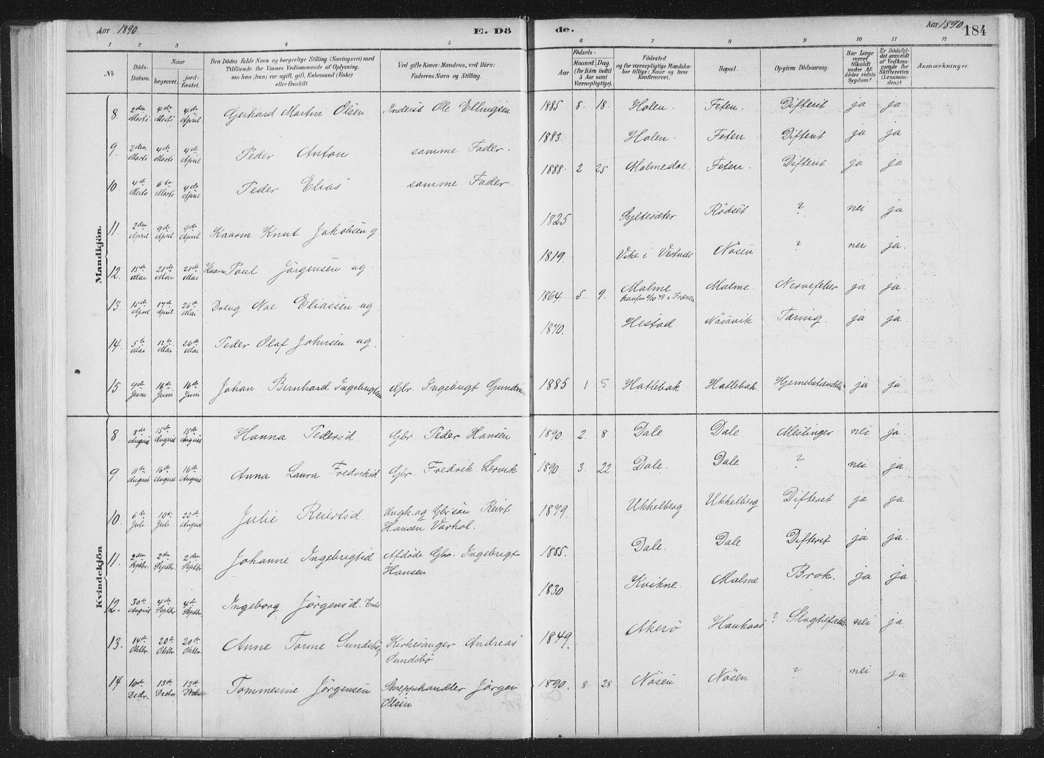 Ministerialprotokoller, klokkerbøker og fødselsregistre - Møre og Romsdal, SAT/A-1454/564/L0740: Ministerialbok nr. 564A01, 1880-1899, s. 184