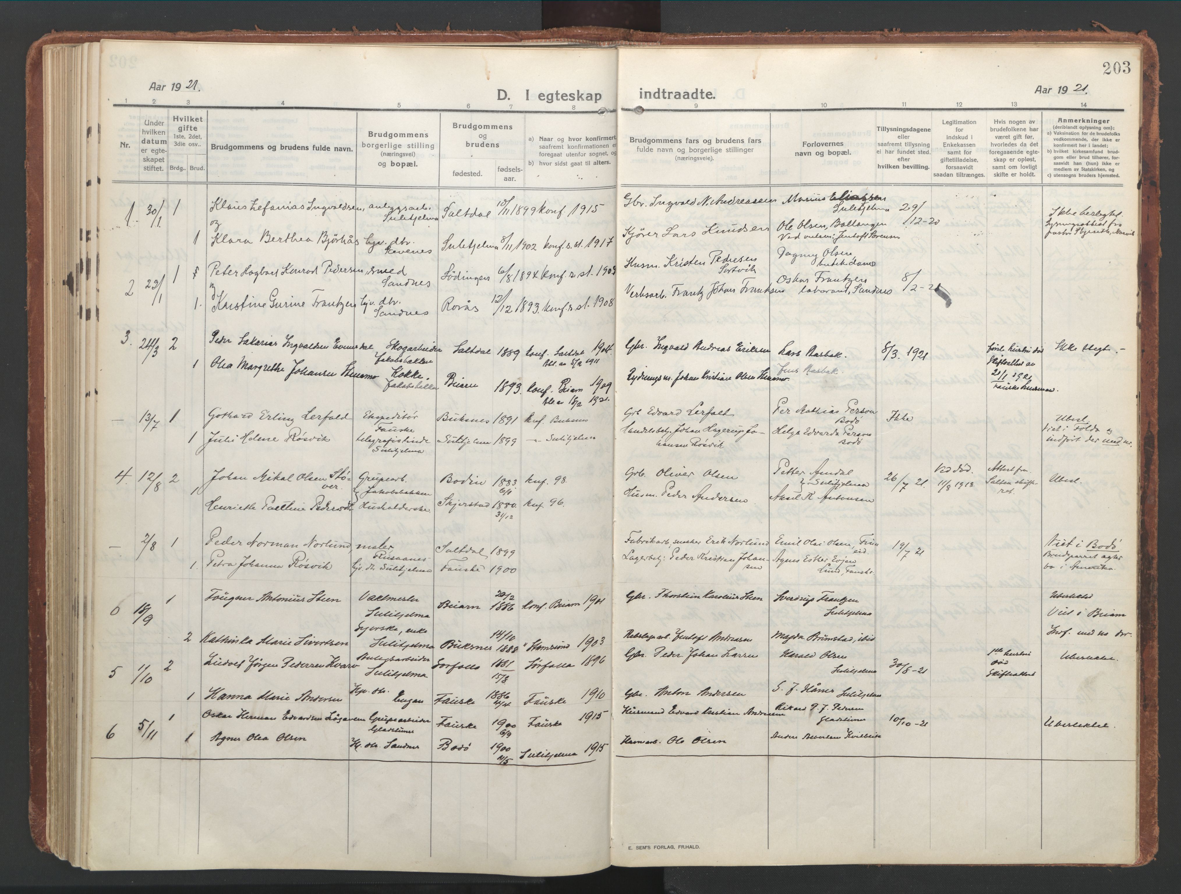 Ministerialprotokoller, klokkerbøker og fødselsregistre - Nordland, AV/SAT-A-1459/850/L0715: Residerende kapellans bok nr. 850B05, 1913-1924, s. 203