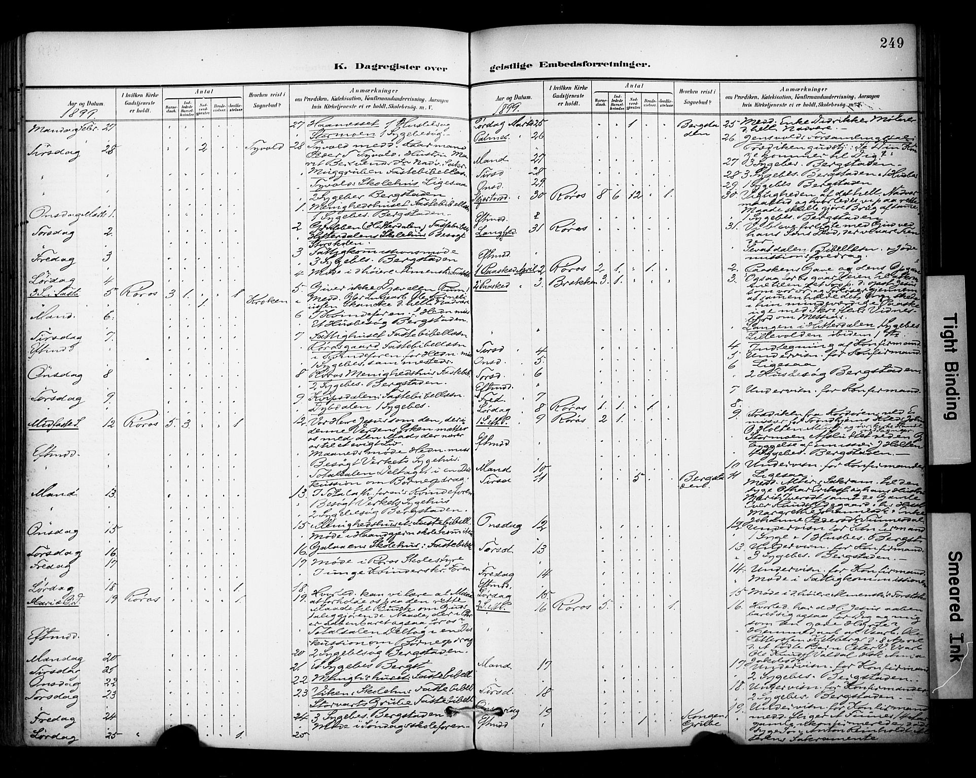 Ministerialprotokoller, klokkerbøker og fødselsregistre - Sør-Trøndelag, AV/SAT-A-1456/681/L0936: Ministerialbok nr. 681A14, 1899-1908, s. 249