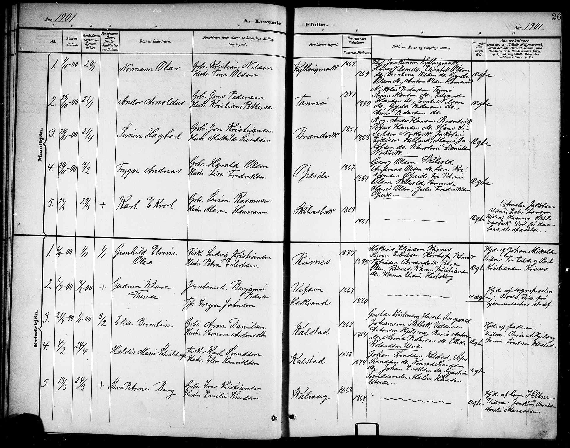 Ministerialprotokoller, klokkerbøker og fødselsregistre - Nordland, SAT/A-1459/859/L0860: Klokkerbok nr. 859C06, 1899-1909, s. 26