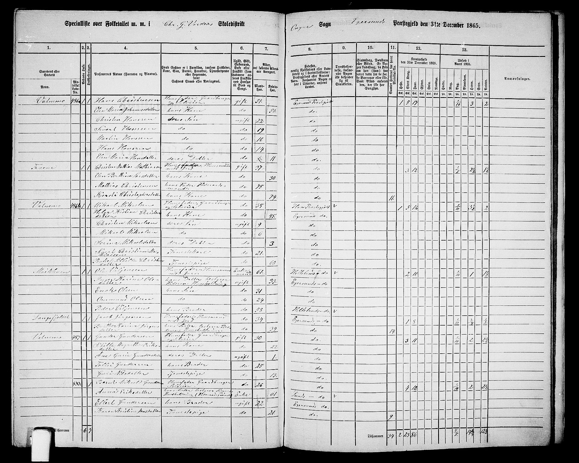 RA, Folketelling 1865 for 1116L Eigersund prestegjeld, Eigersund landsokn og Ogna sokn, 1865, s. 145