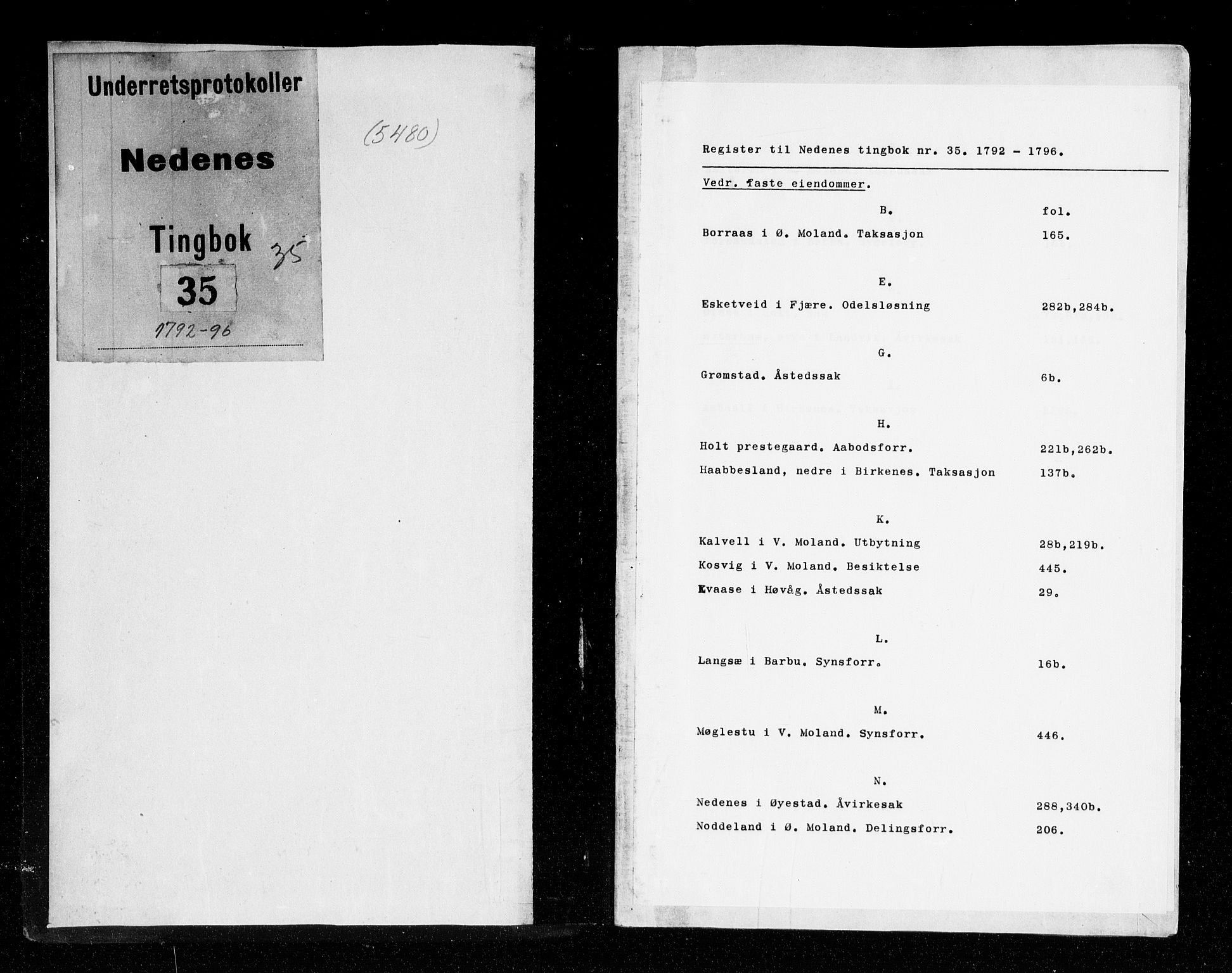 Nedenes sorenskriveri før 1824, AV/SAK-1221-0007/F/Fa/L0040: Tingbok med register nr 35, 1792-1796