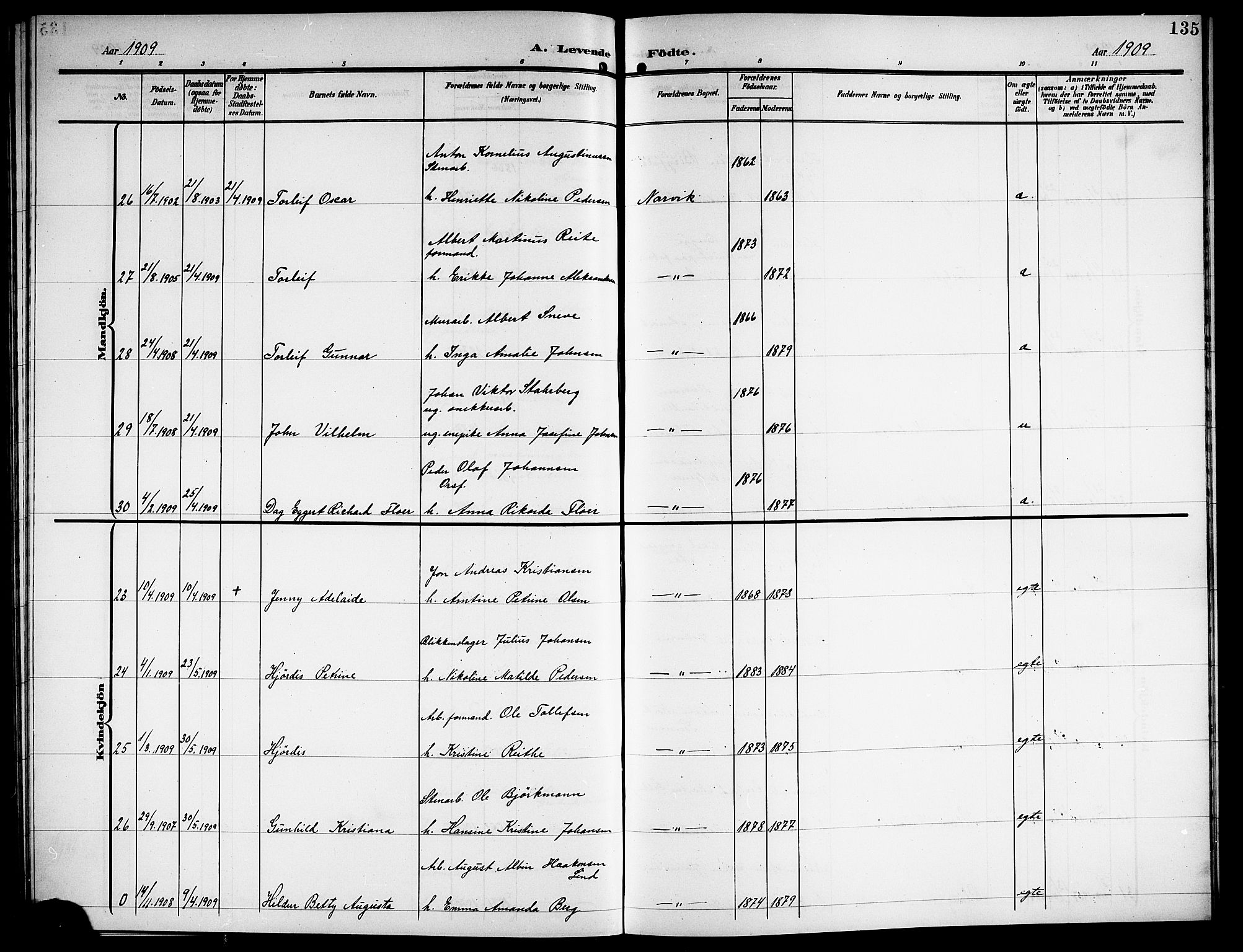 Ministerialprotokoller, klokkerbøker og fødselsregistre - Nordland, AV/SAT-A-1459/871/L1012: Klokkerbok nr. 871C01, 1902-1909, s. 135