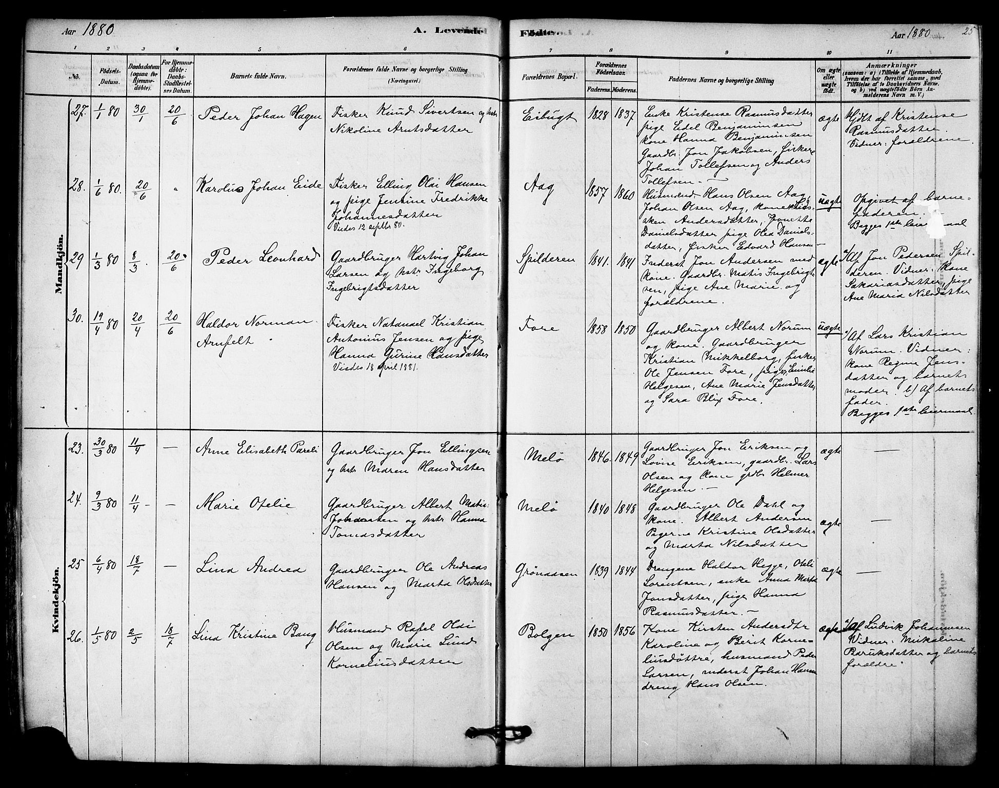 Ministerialprotokoller, klokkerbøker og fødselsregistre - Nordland, AV/SAT-A-1459/843/L0626: Ministerialbok nr. 843A01, 1878-1907, s. 25