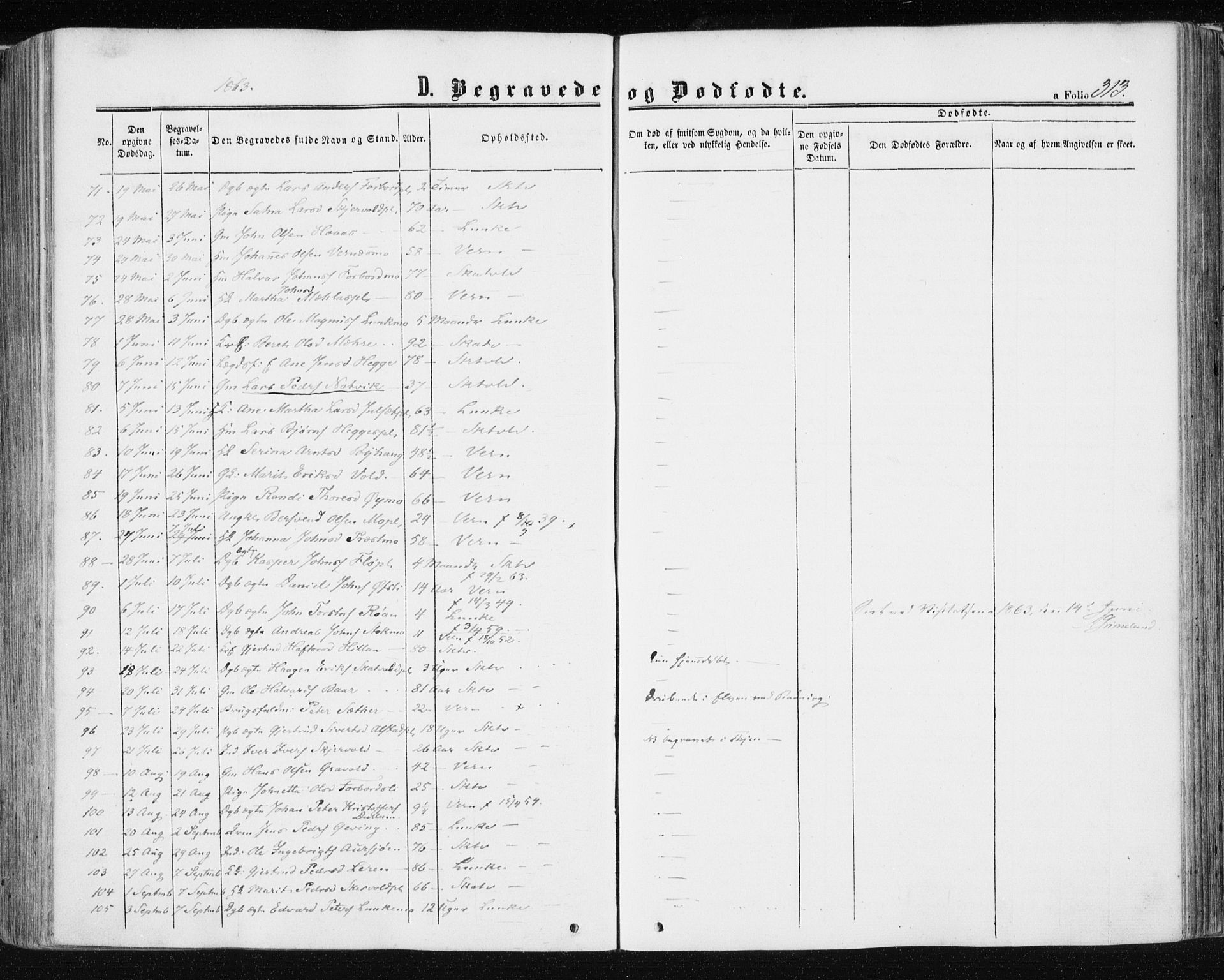 Ministerialprotokoller, klokkerbøker og fødselsregistre - Nord-Trøndelag, SAT/A-1458/709/L0075: Ministerialbok nr. 709A15, 1859-1870, s. 313