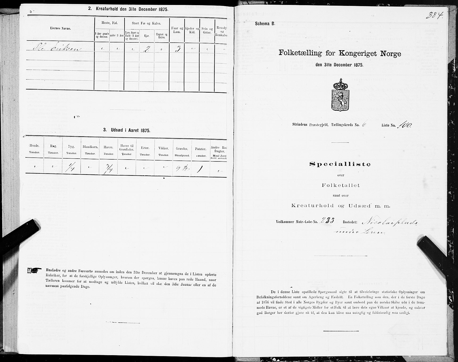 SAT, Folketelling 1875 for 1660P Strinda prestegjeld, 1875, s. 3384