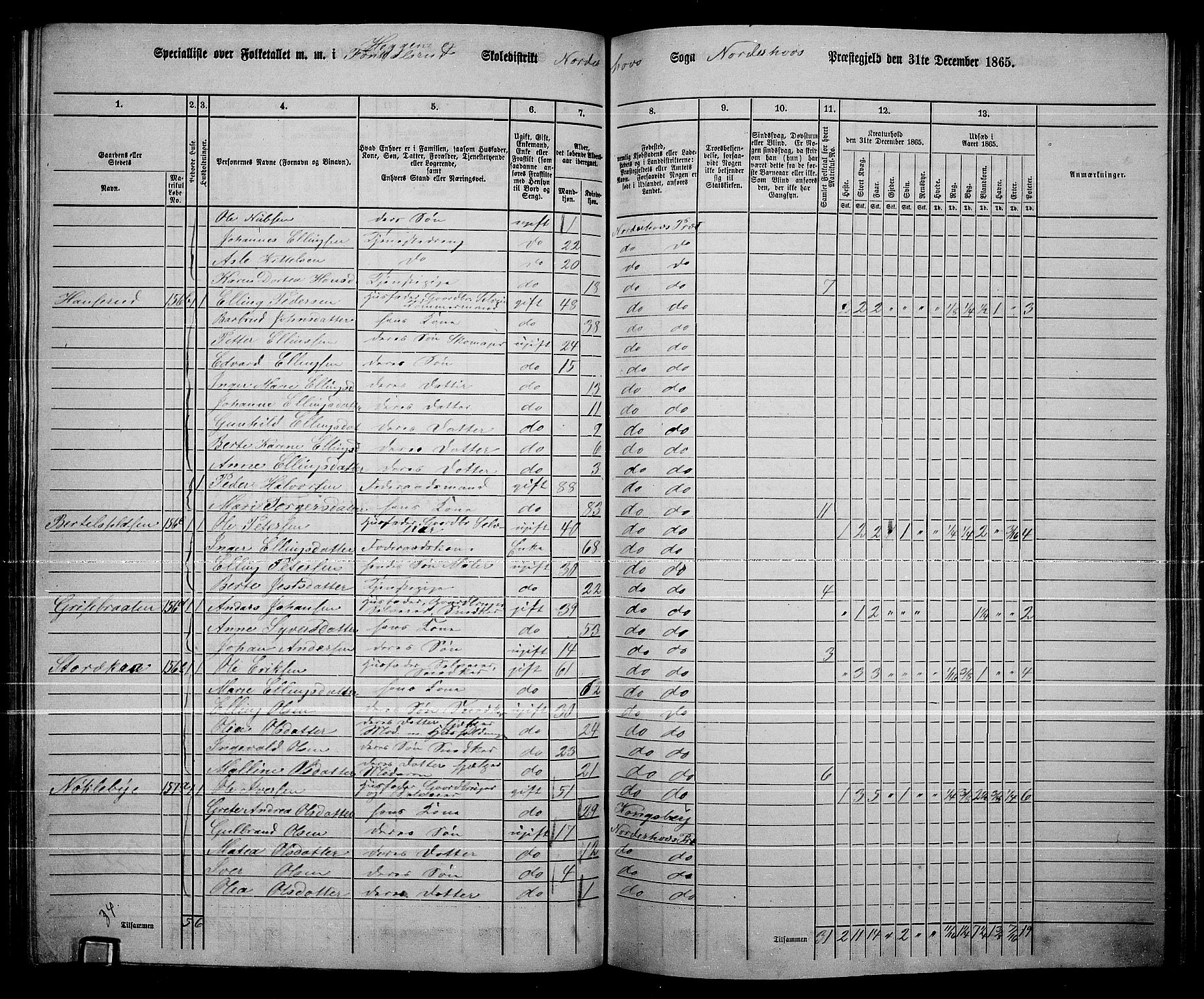 RA, Folketelling 1865 for 0613L Norderhov prestegjeld, Norderhov sokn, Haug sokn og Lunder sokn, 1865, s. 187