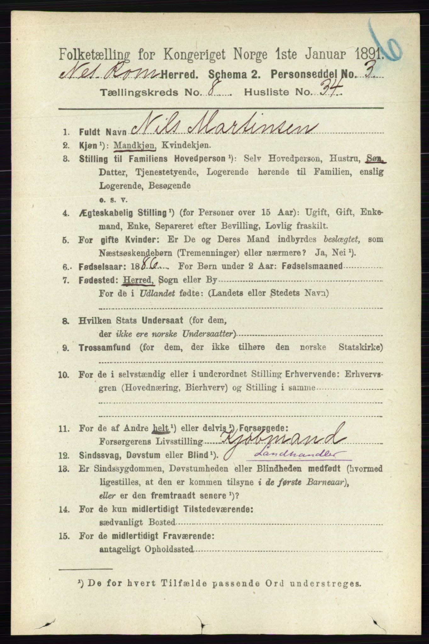 RA, Folketelling 1891 for 0236 Nes herred, 1891, s. 4815