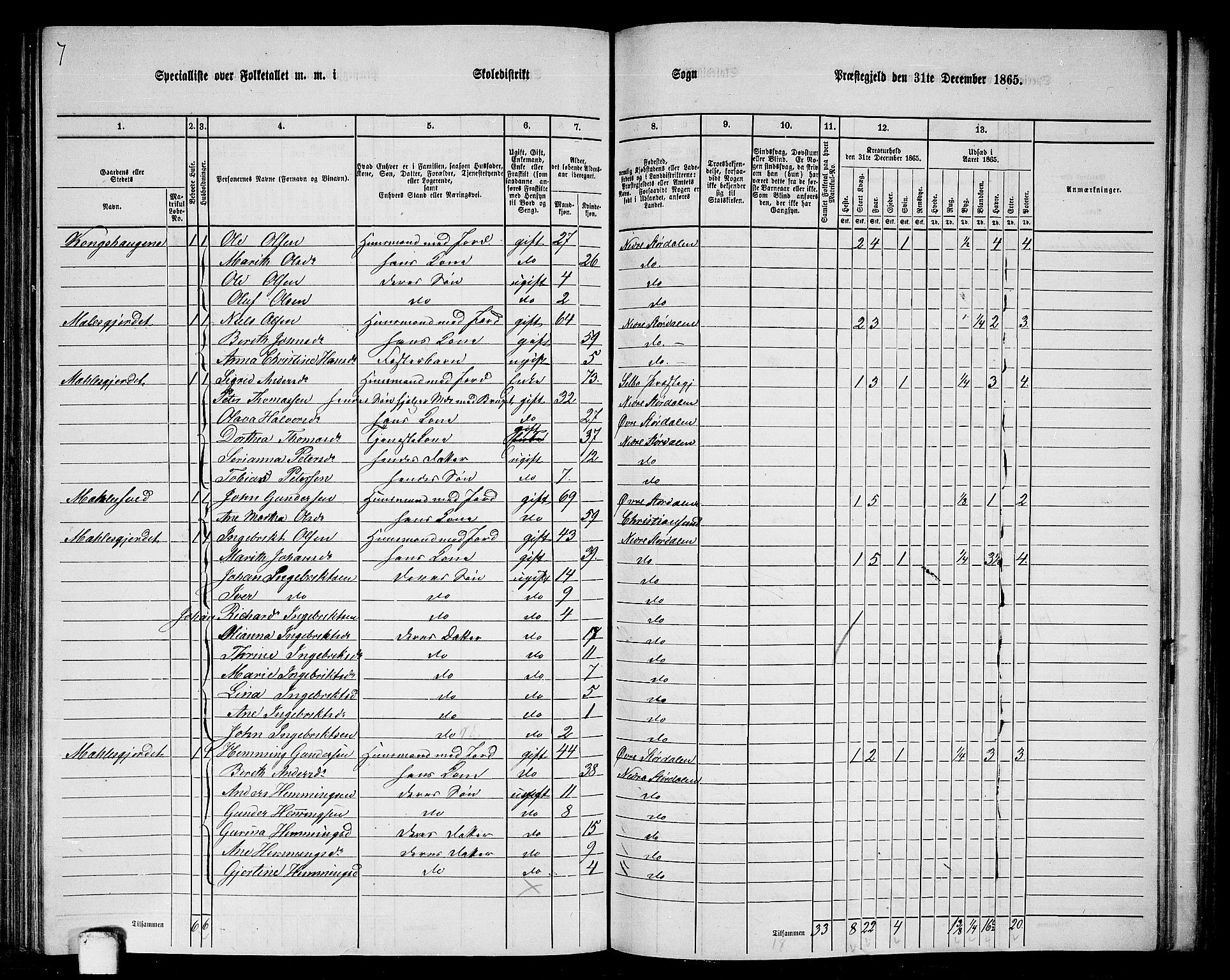 RA, Folketelling 1865 for 1714P Nedre Stjørdal prestegjeld, 1865, s. 195