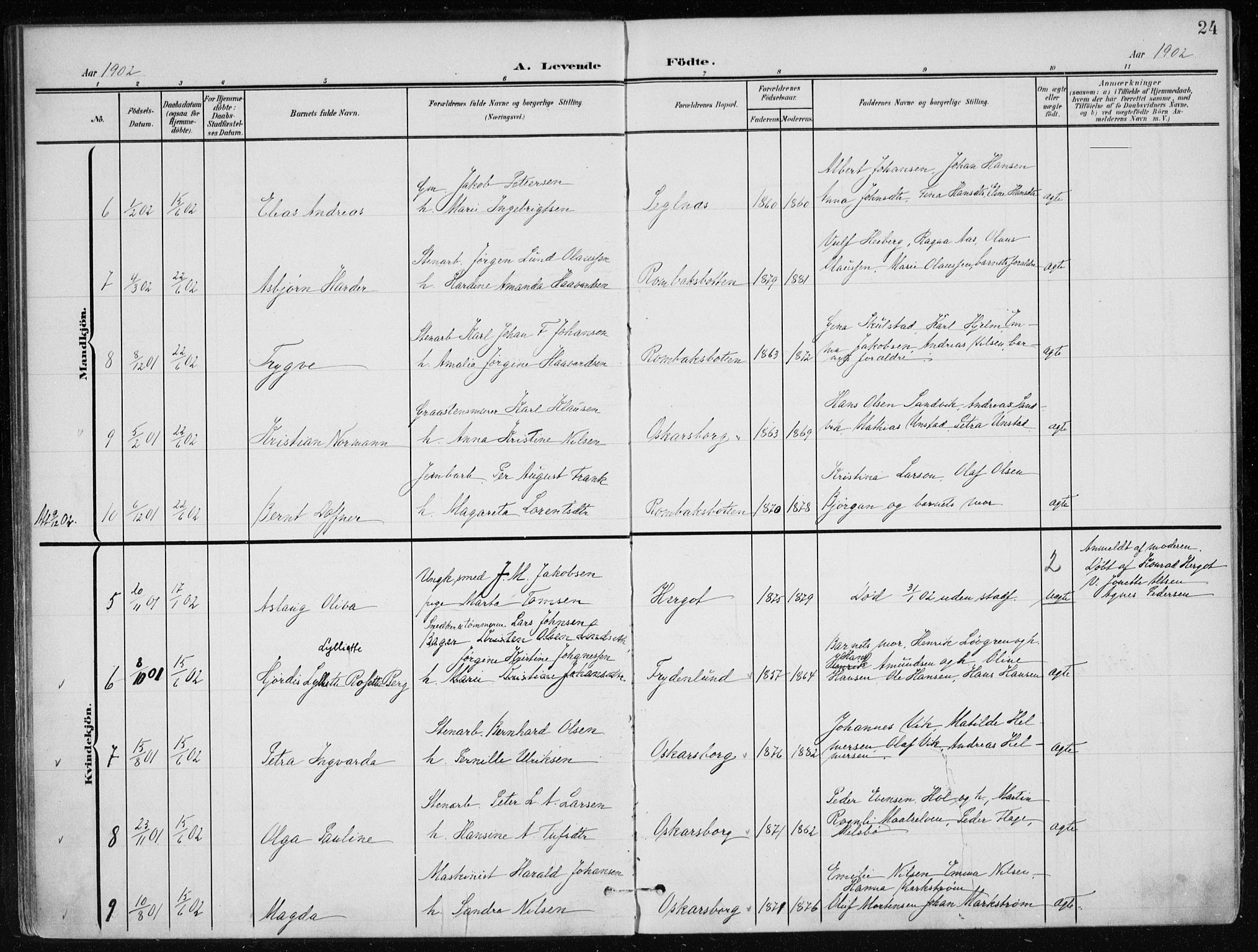 Ministerialprotokoller, klokkerbøker og fødselsregistre - Nordland, SAT/A-1459/866/L0941: Ministerialbok nr. 866A04, 1901-1917, s. 24