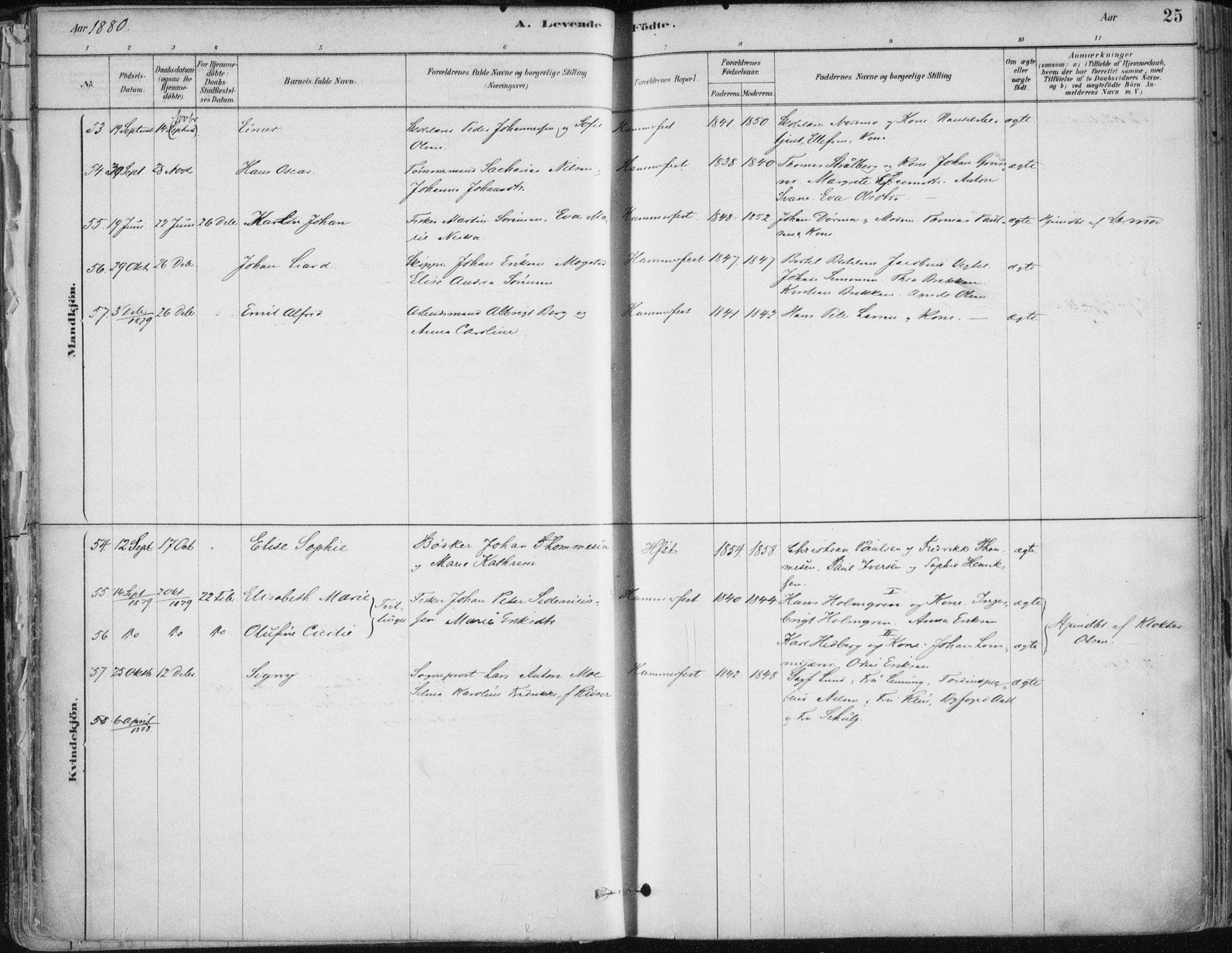 Hammerfest sokneprestkontor, SATØ/S-1347/H/Ha/L0008.kirke: Ministerialbok nr. 8, 1878-1889, s. 25