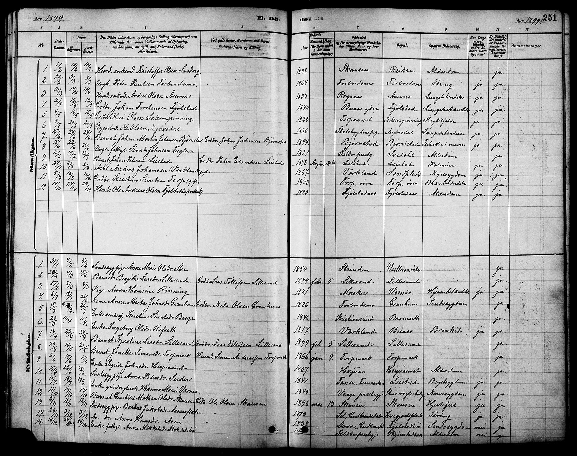 Ministerialprotokoller, klokkerbøker og fødselsregistre - Sør-Trøndelag, SAT/A-1456/616/L0423: Klokkerbok nr. 616C06, 1878-1903, s. 251