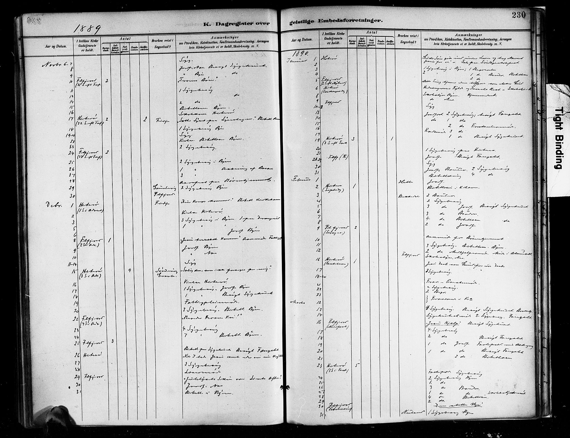 Flekkefjord sokneprestkontor, AV/SAK-1111-0012/F/Fa/Faa/L0001: Ministerialbok nr. A 1, 1885-1900, s. 230