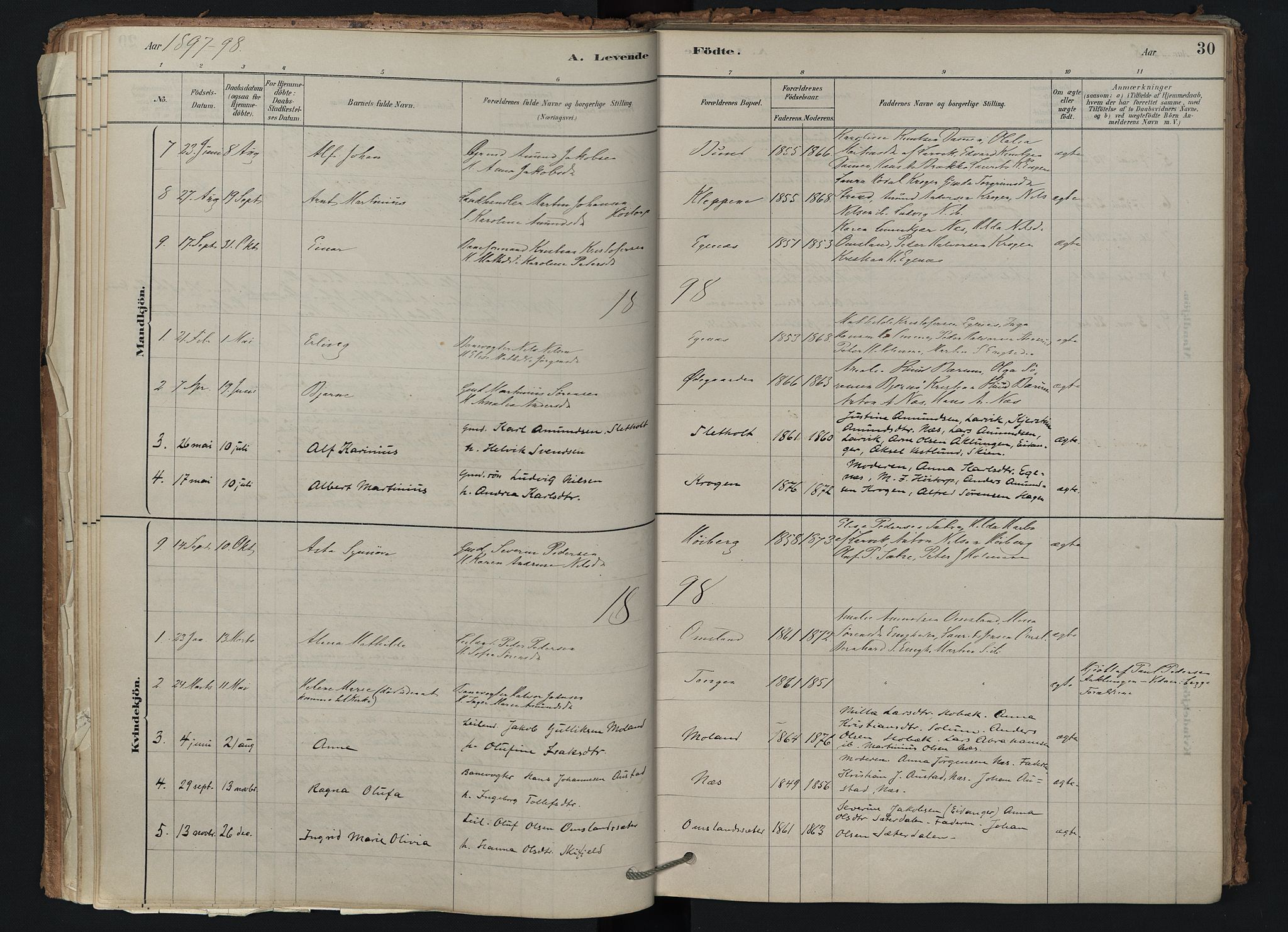 Brunlanes kirkebøker, SAKO/A-342/F/Fd/L0001: Ministerialbok nr. IV 1, 1878-1917, s. 30