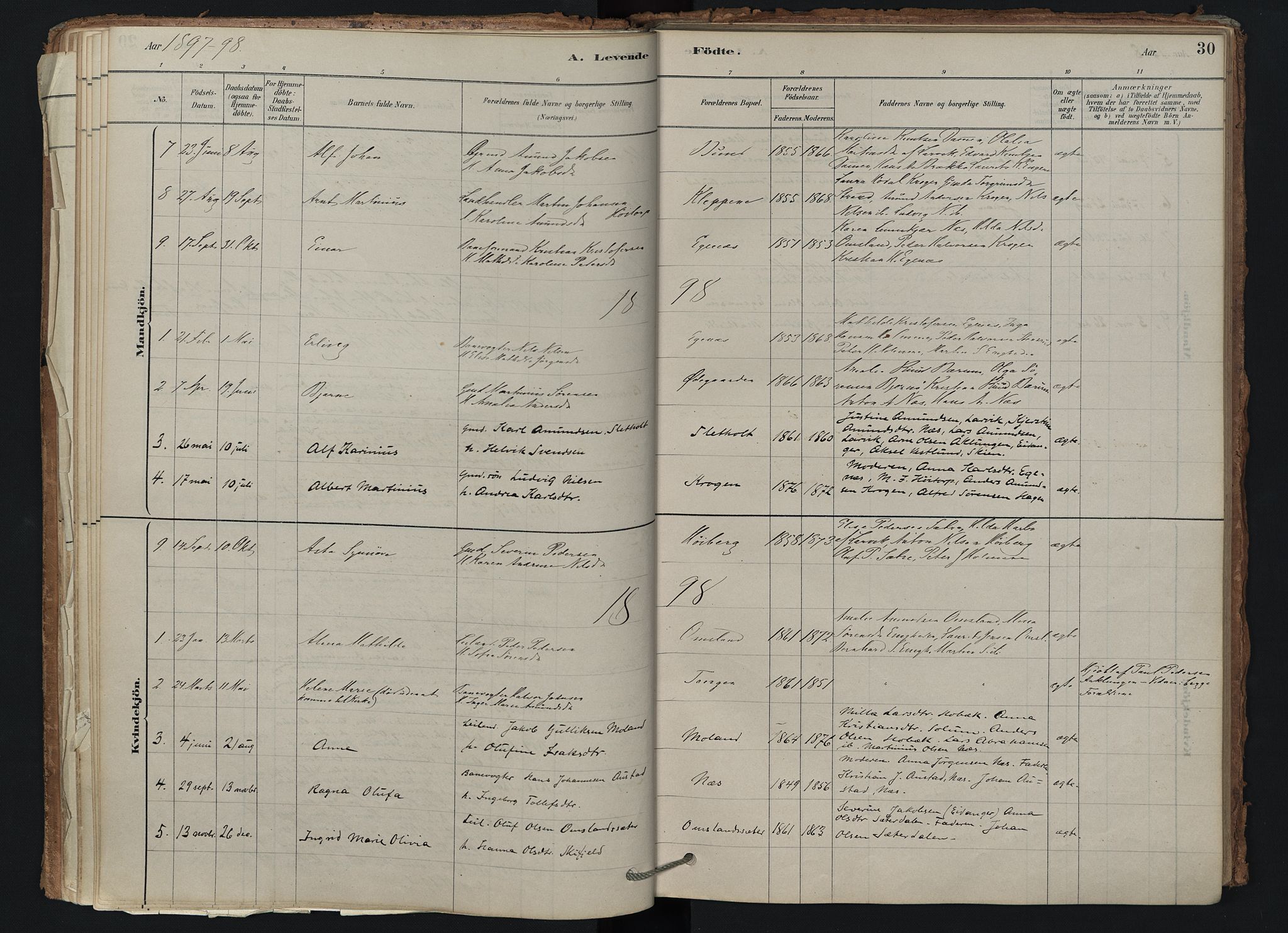 Brunlanes kirkebøker, AV/SAKO-A-342/F/Fd/L0001: Ministerialbok nr. IV 1, 1878-1917, s. 30