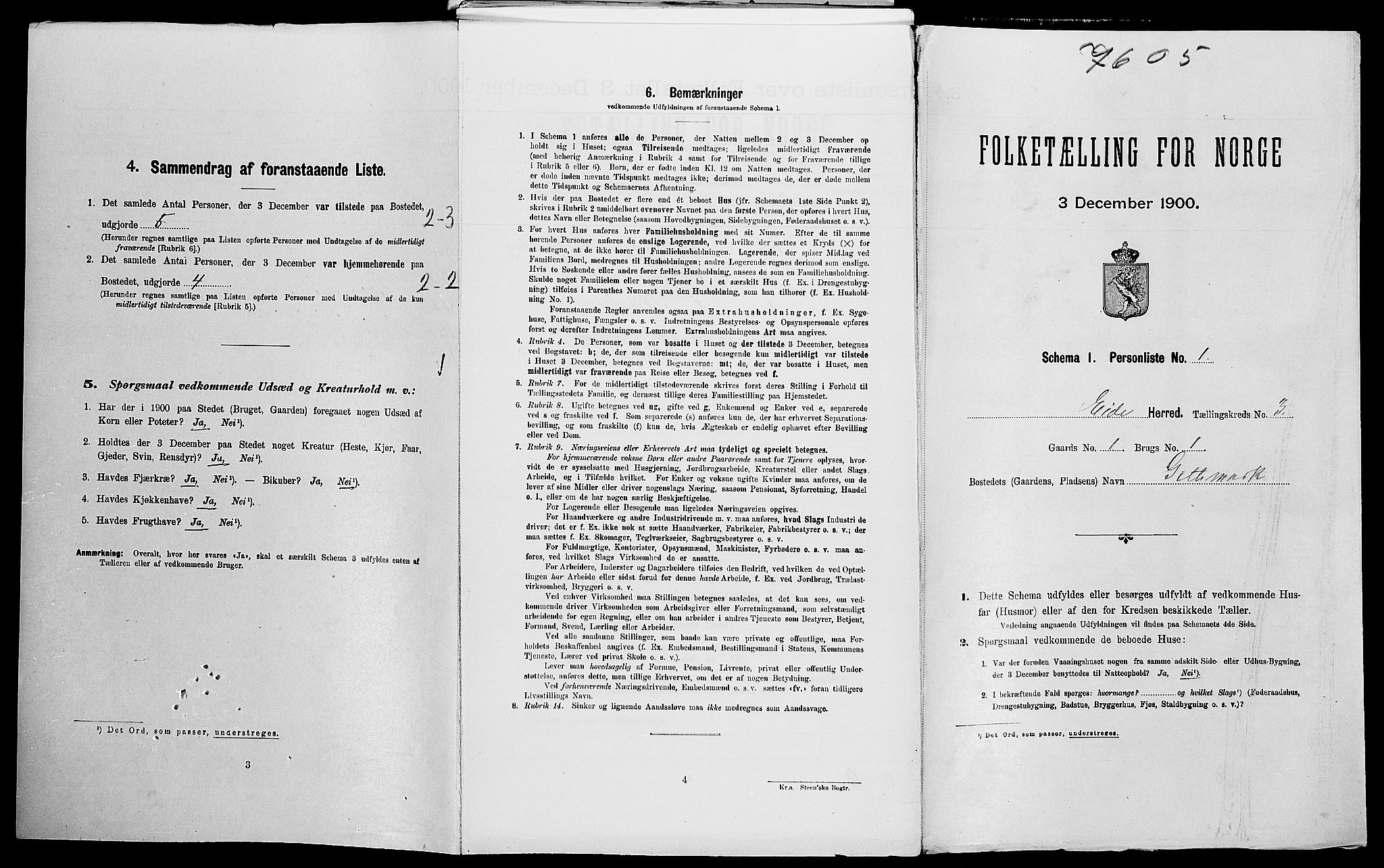 SAK, Folketelling 1900 for 0925 Eide herred, 1900, s. 205