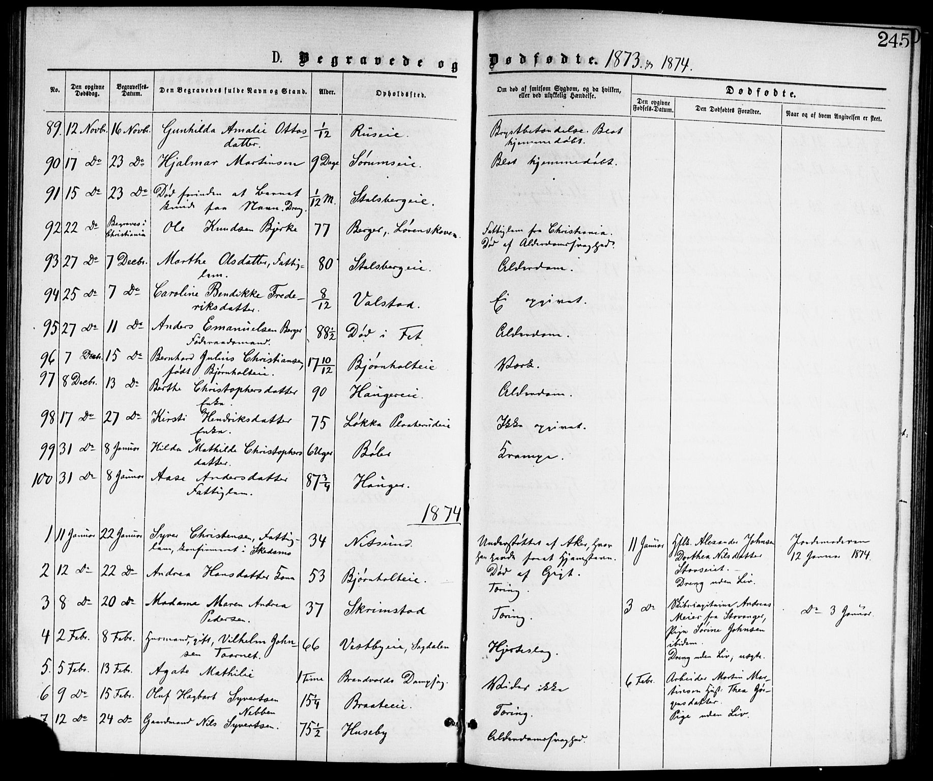 Skedsmo prestekontor Kirkebøker, AV/SAO-A-10033a/G/Ga/L0003: Klokkerbok nr. I 3, 1873-1882, s. 245