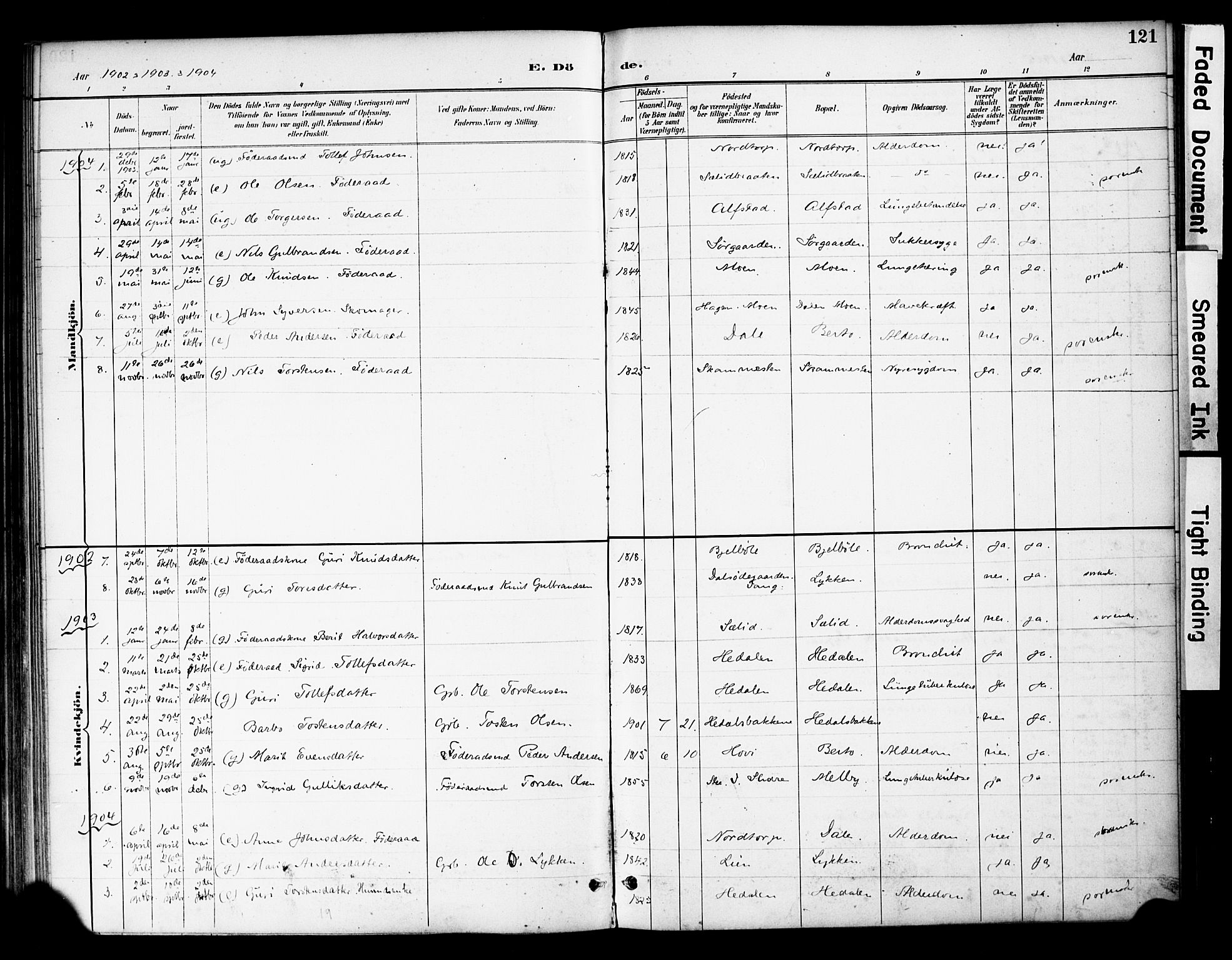 Øystre Slidre prestekontor, AV/SAH-PREST-138/H/Ha/Haa/L0004: Ministerialbok nr. 4, 1887-1910, s. 121