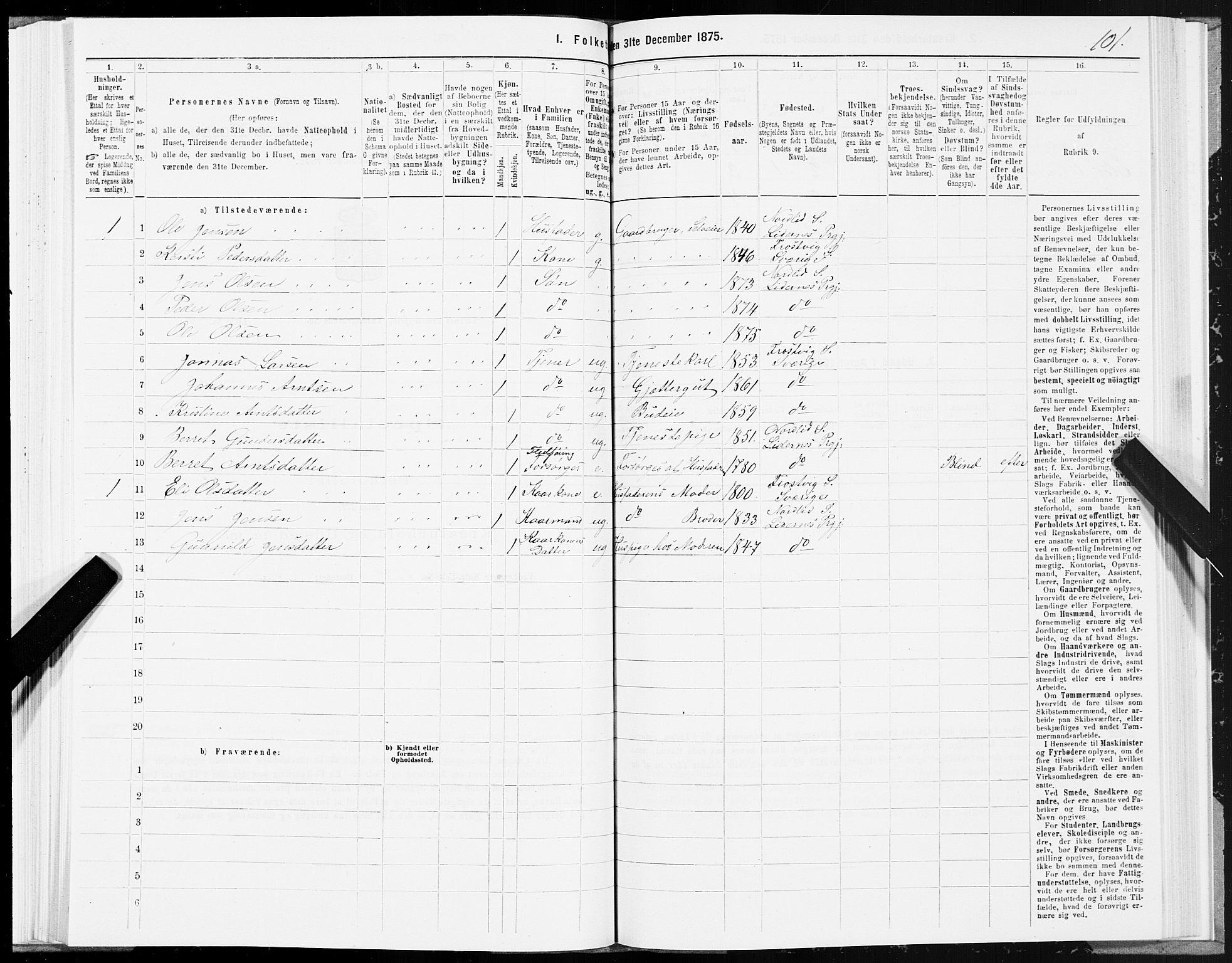 SAT, Folketelling 1875 for 1737P Lierne prestegjeld, 1875, s. 1101