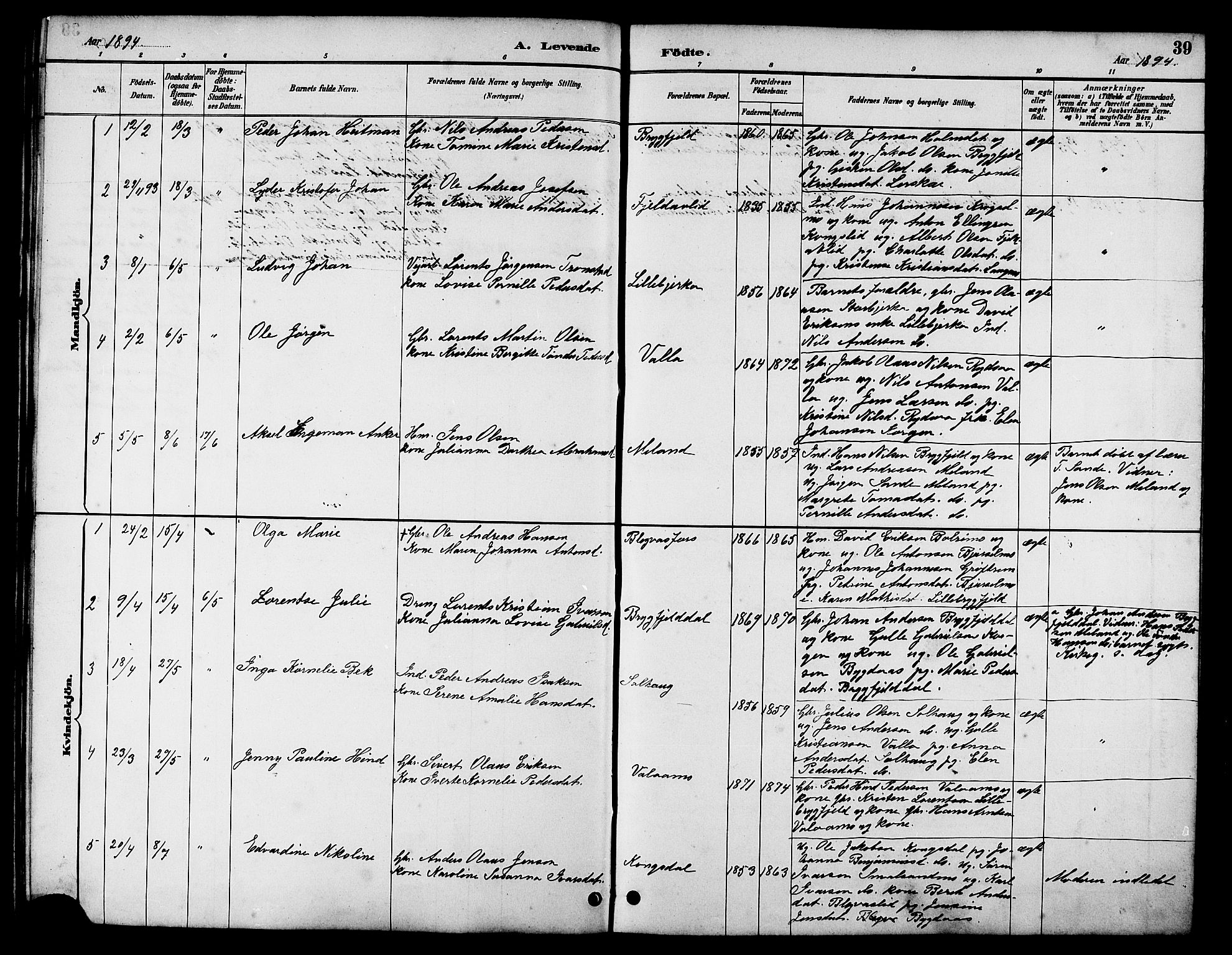 Ministerialprotokoller, klokkerbøker og fødselsregistre - Nordland, AV/SAT-A-1459/826/L0383: Klokkerbok nr. 826C03, 1887-1896, s. 39