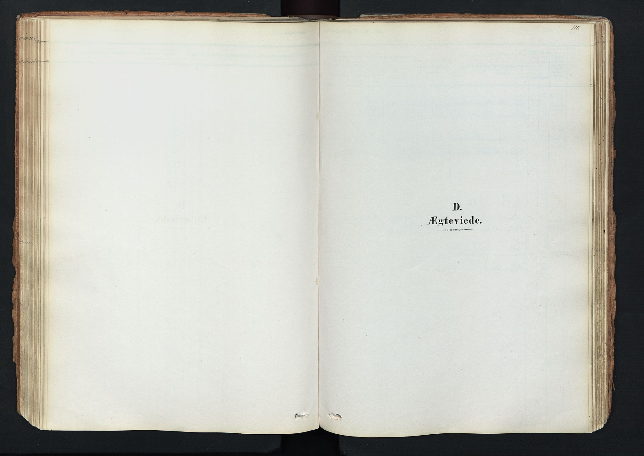 Trysil prestekontor, SAH/PREST-046/H/Ha/Haa/L0011: Ministerialbok nr. 11, 1878-1912, s. 170