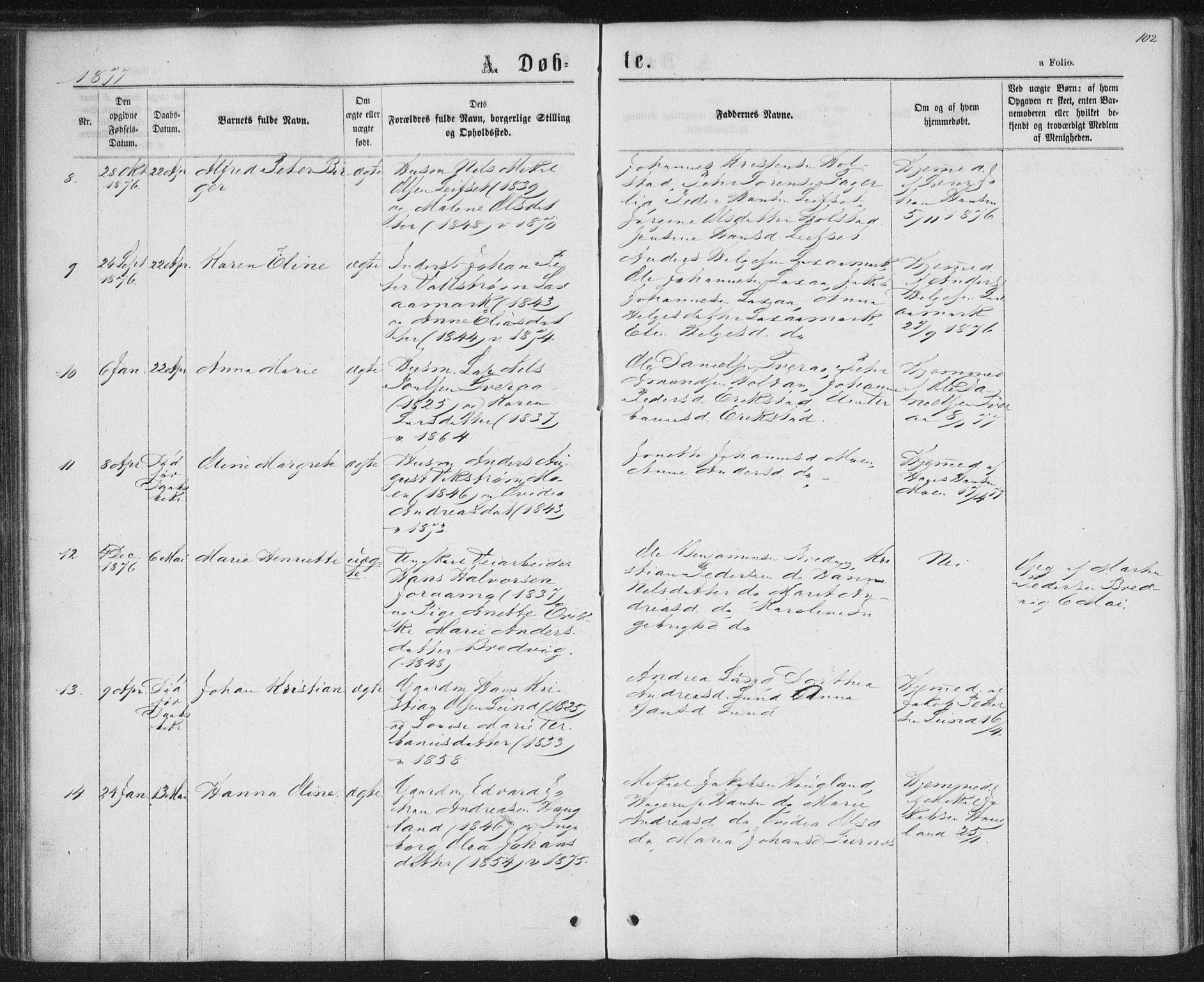 Ministerialprotokoller, klokkerbøker og fødselsregistre - Nordland, AV/SAT-A-1459/852/L0739: Ministerialbok nr. 852A09, 1866-1877, s. 102